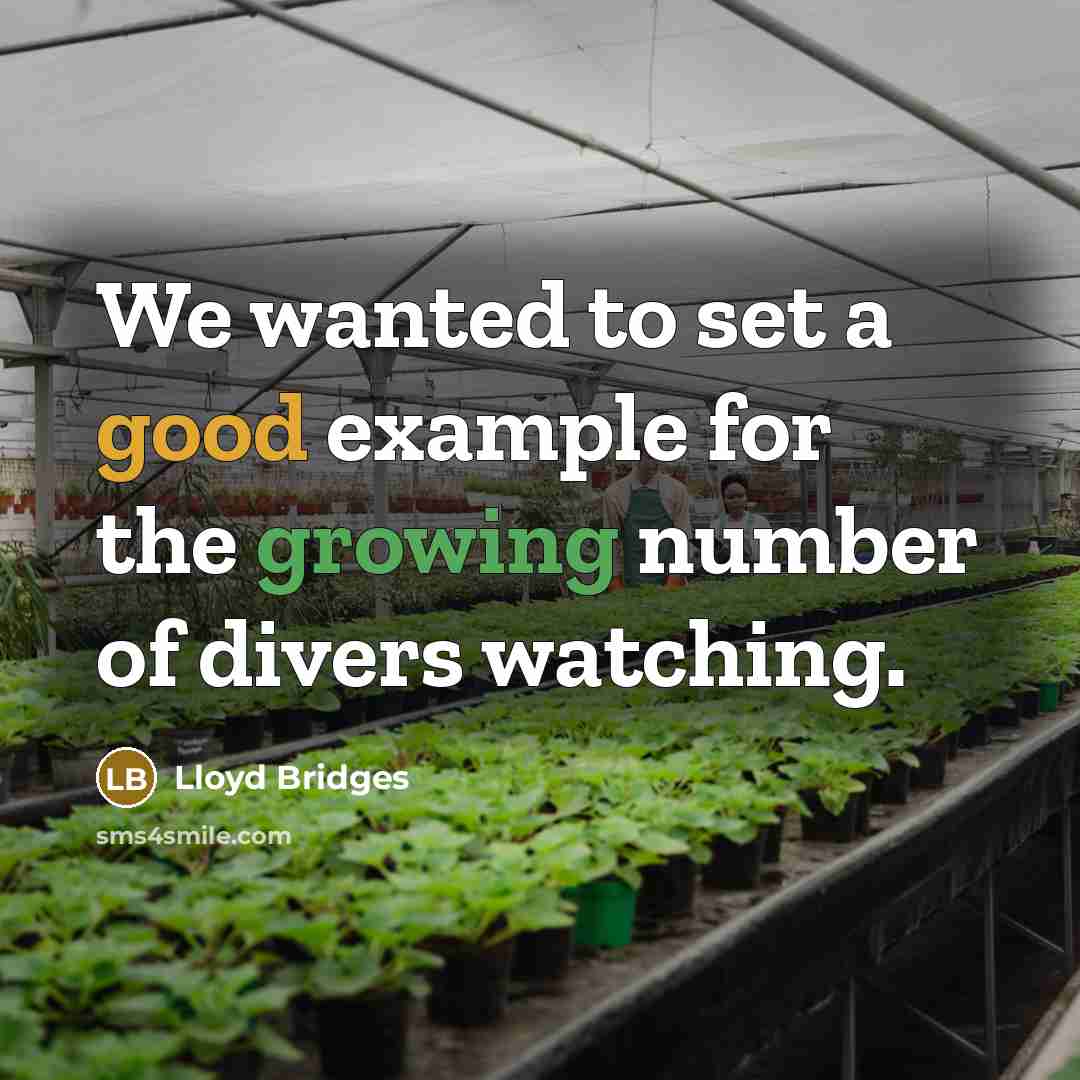 “We wanted to set a good example for the growing number of divers watching.” quote by Lloyd Bridges