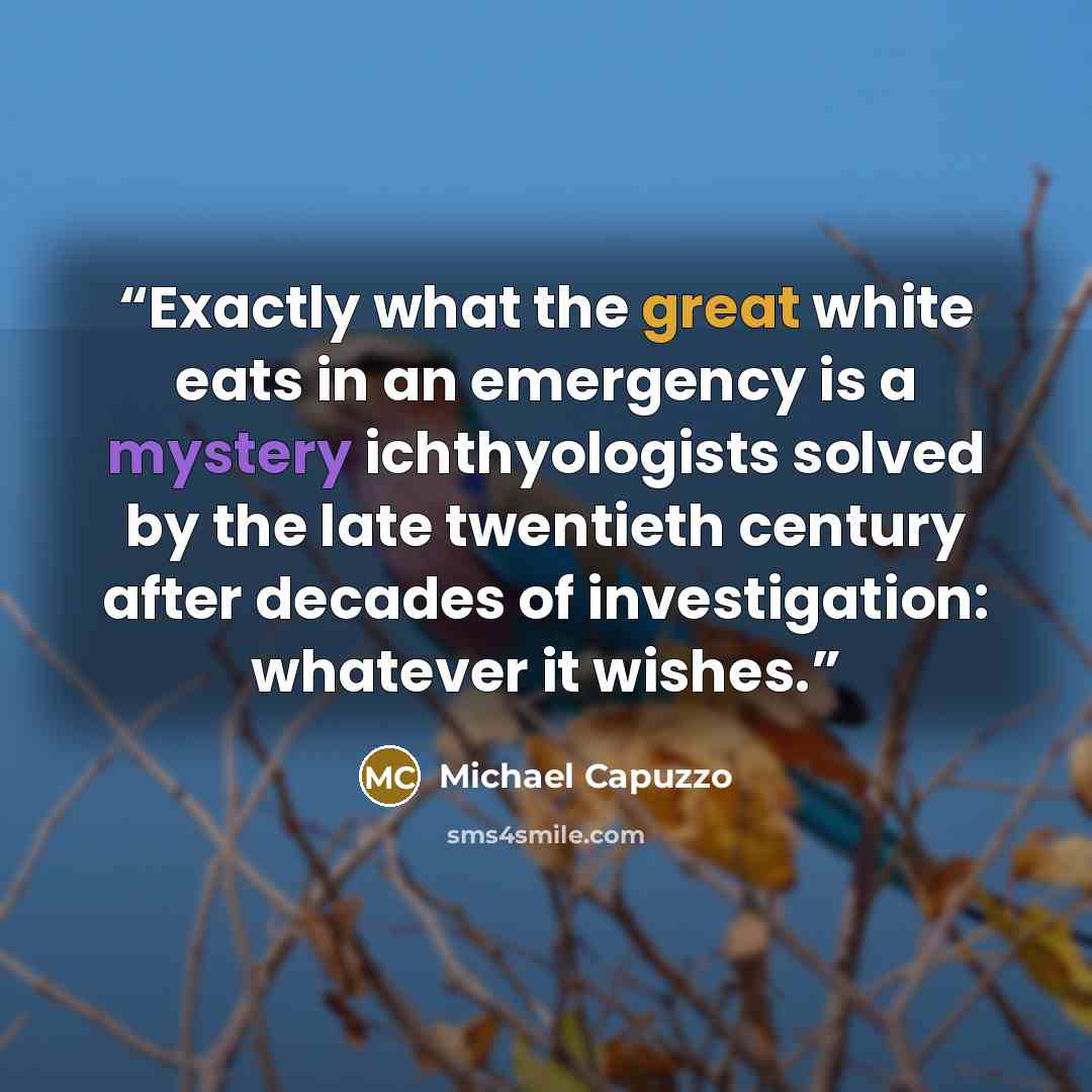 “Exactly what the great white eats in an emergency is a mystery ichthyologists solved by the late twentieth century after decades of investigation: whatever it wishes.” quote by Michael Capuzzo