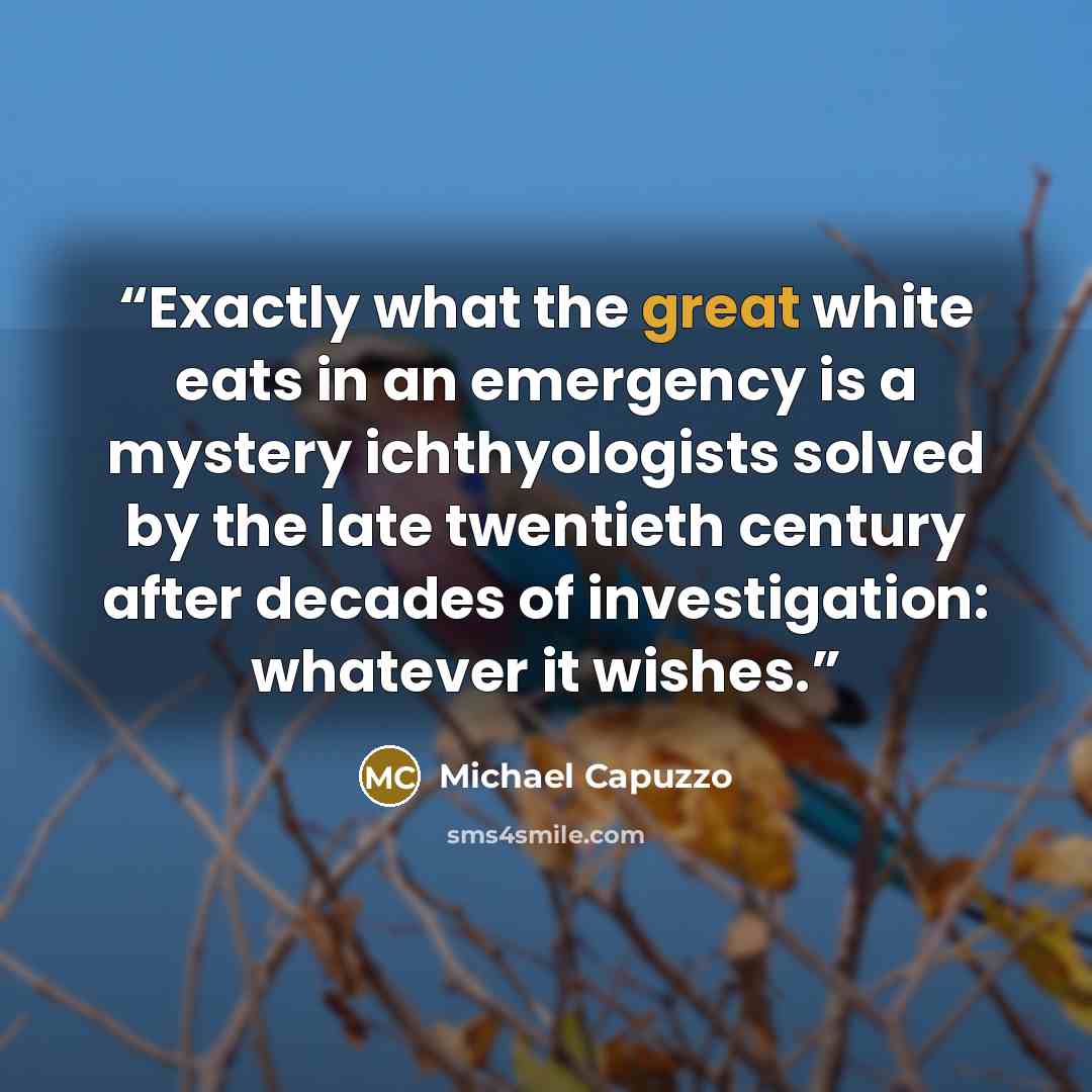 “Exactly what the great white eats in an emergency is a mystery ichthyologists solved by the late twentieth century after decades of investigation: whatever it wishes.” quote by Michael Capuzzo
