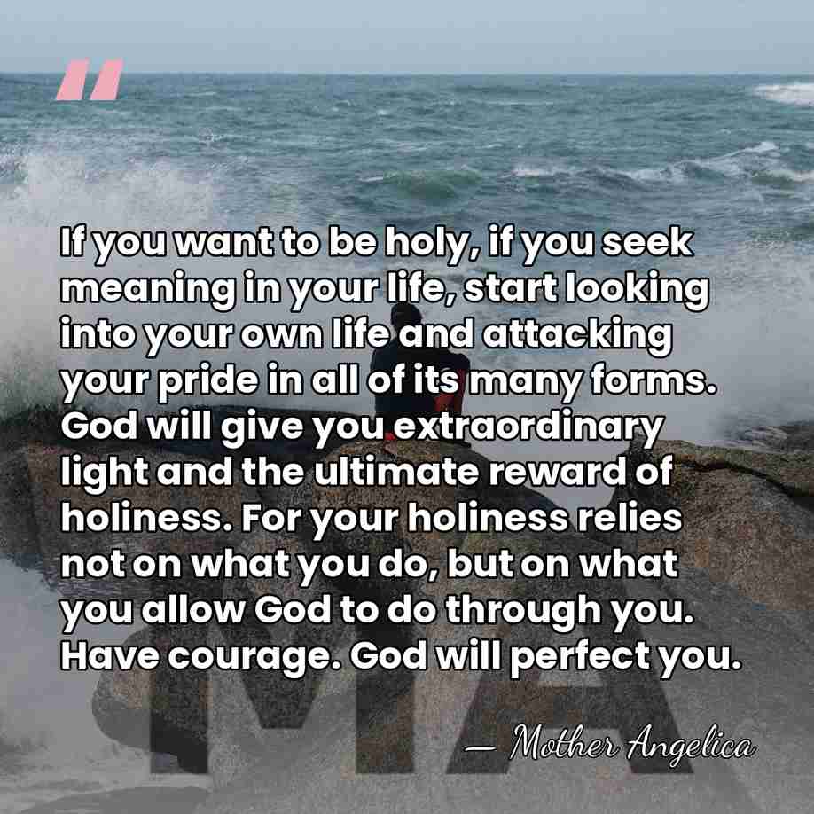 If you want to be holy, if you seek meaning in your&hellip; - Mother Angelica