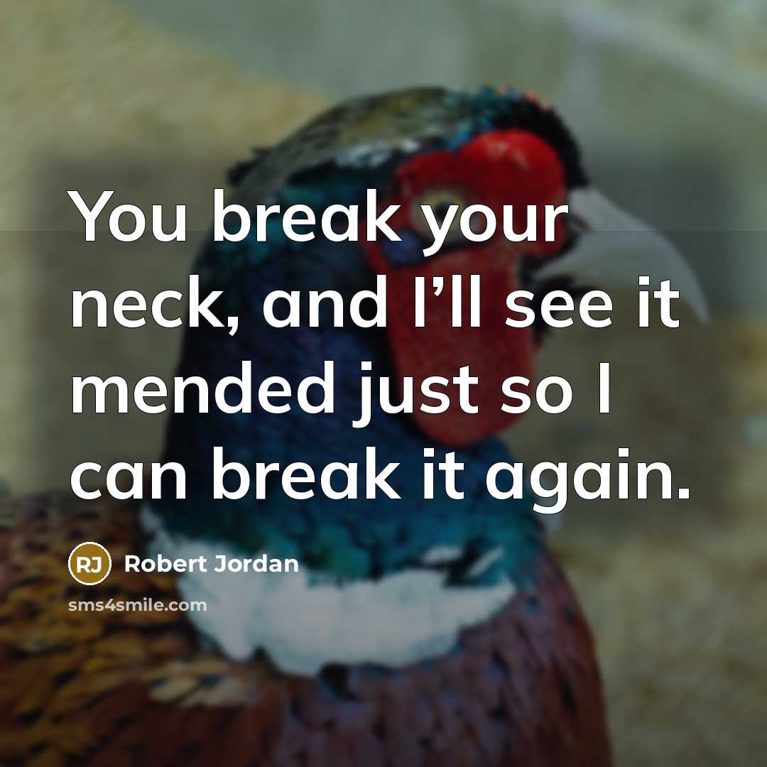 “You break your neck, and I’ll see it mended just…” quote by Robert Jordan