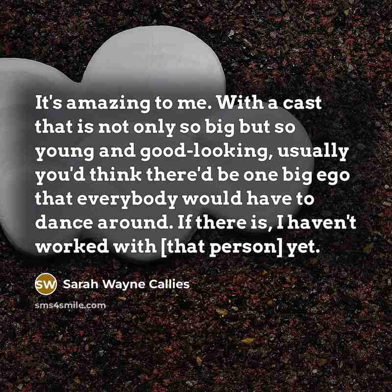 “It's amazing to me. With a cast that is not…” quote by Sarah Wayne Callies