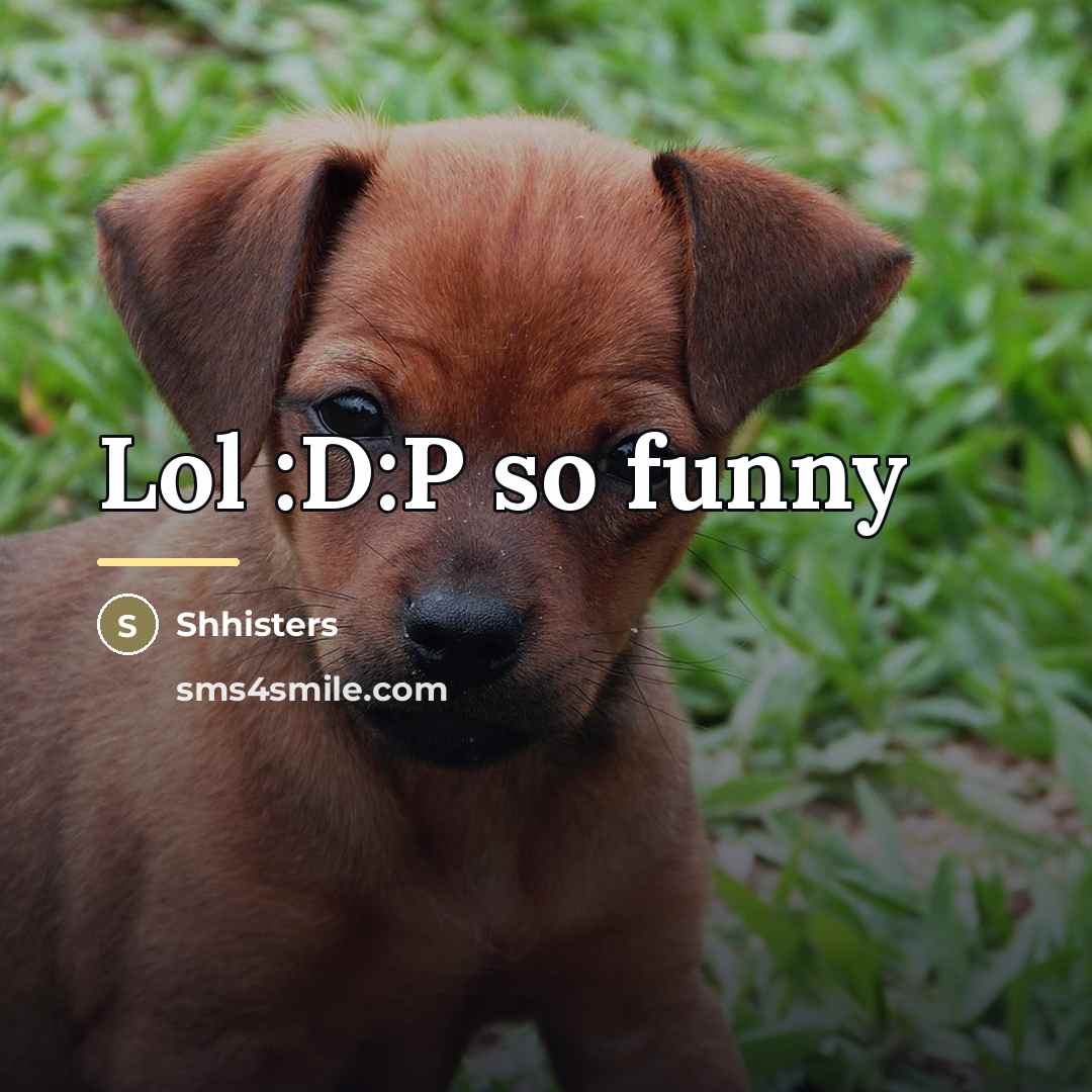 “Lol :D:P so funny…” quote by Shhisters