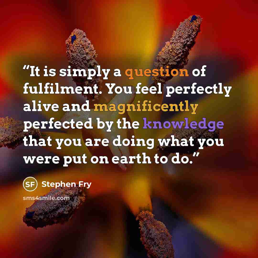 “It is simply a question of fulfilment. You feel perfectly alive and magnificently perfected by the knowledge that you are doing what you were put on earth to do.” quote by Stephen Fry