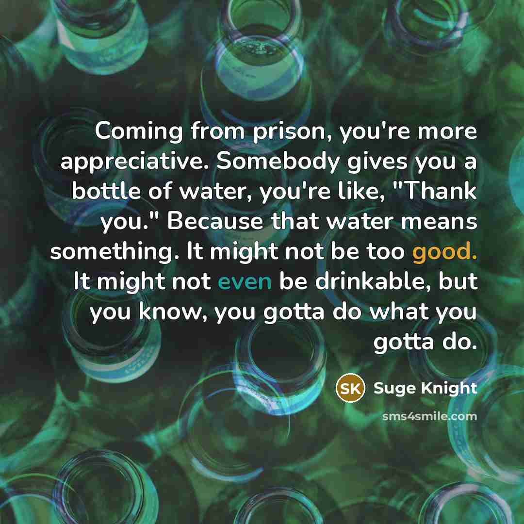 “Coming from prison, you're more appreciative. Somebody gives you a…” quote by Suge Knight