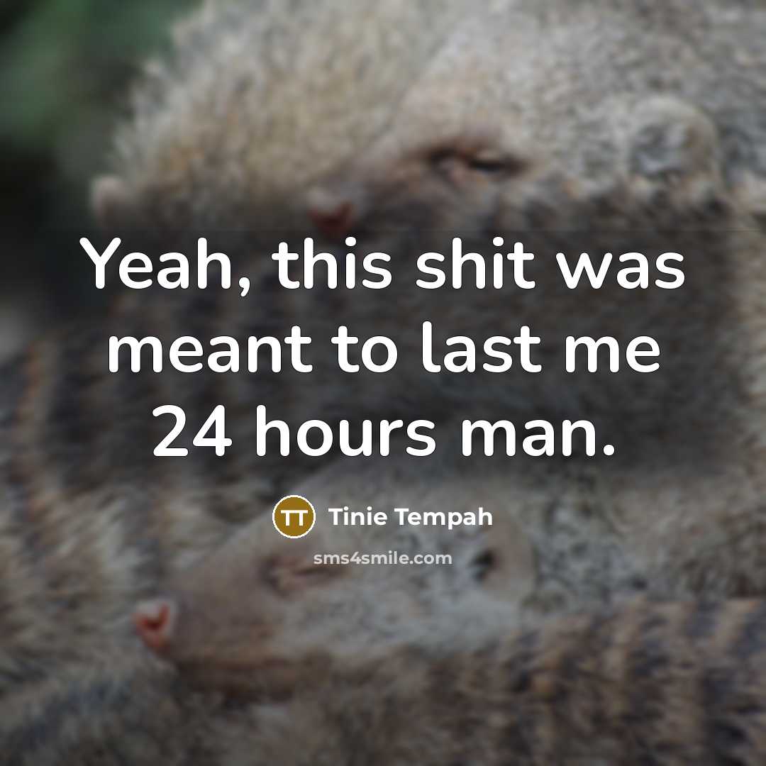 “Yeah, this shit was meant to last me 24 hours…” quote by Tinie Tempah