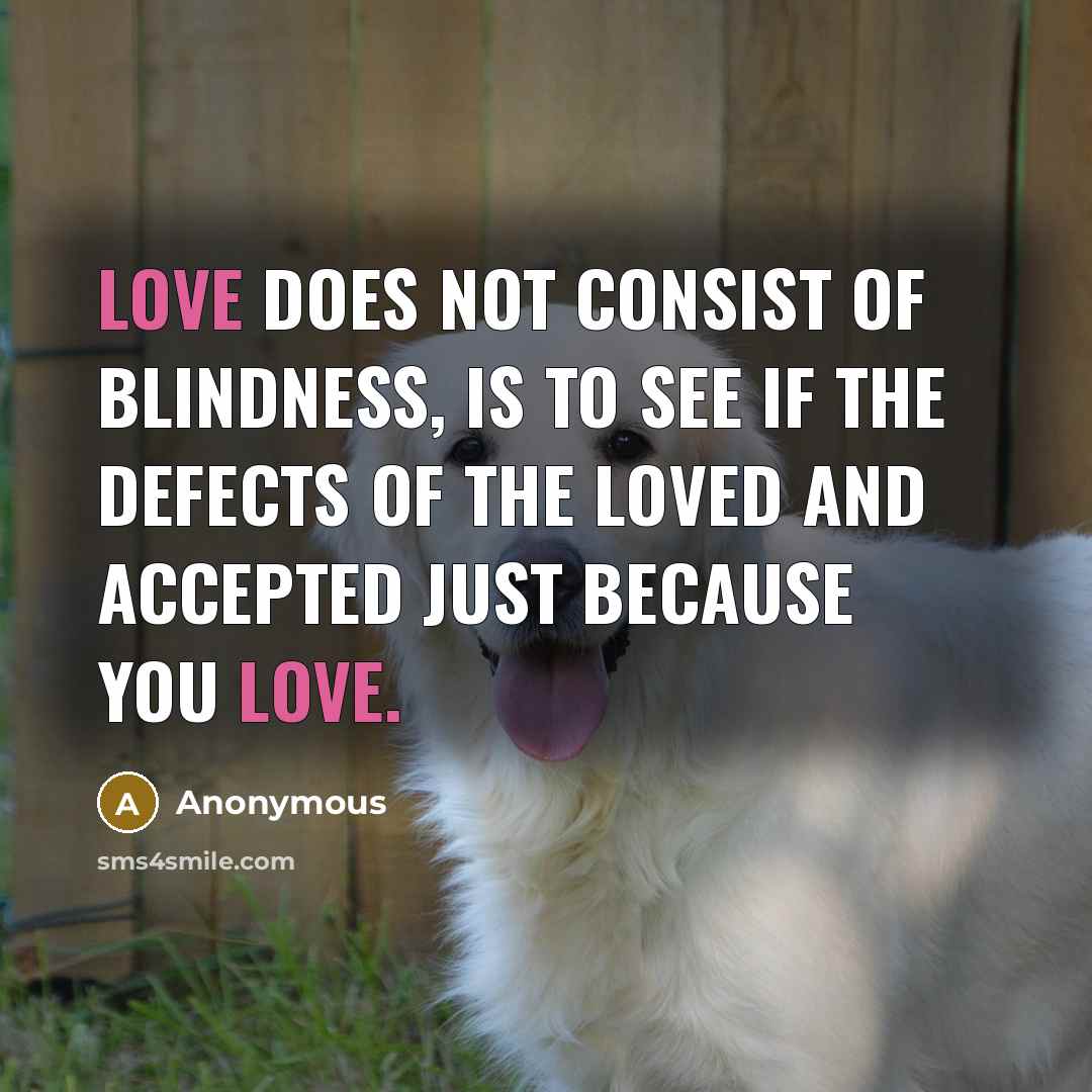 “Love does not consist of blindness, is to see if…” quote by Anonymous