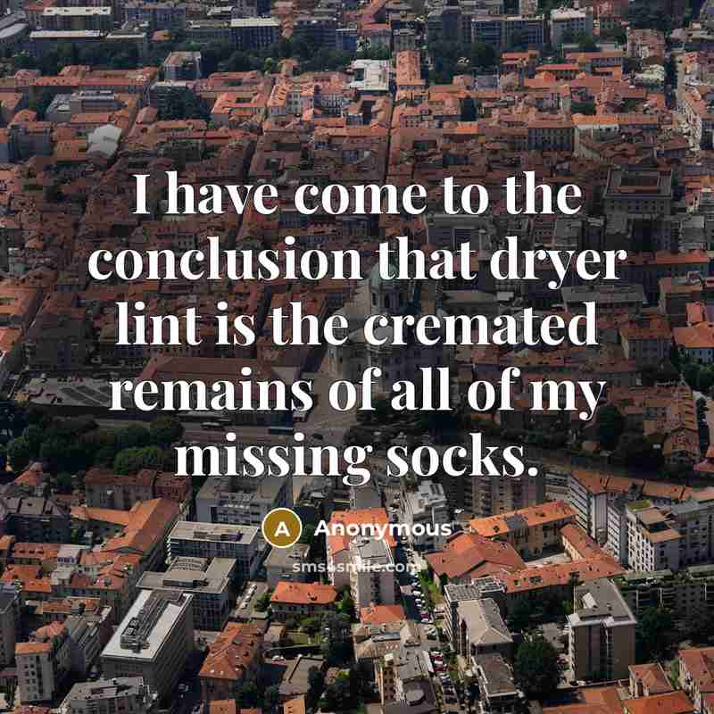 “I have come to the conclusion that dryer lint is…” quote by Anonymous