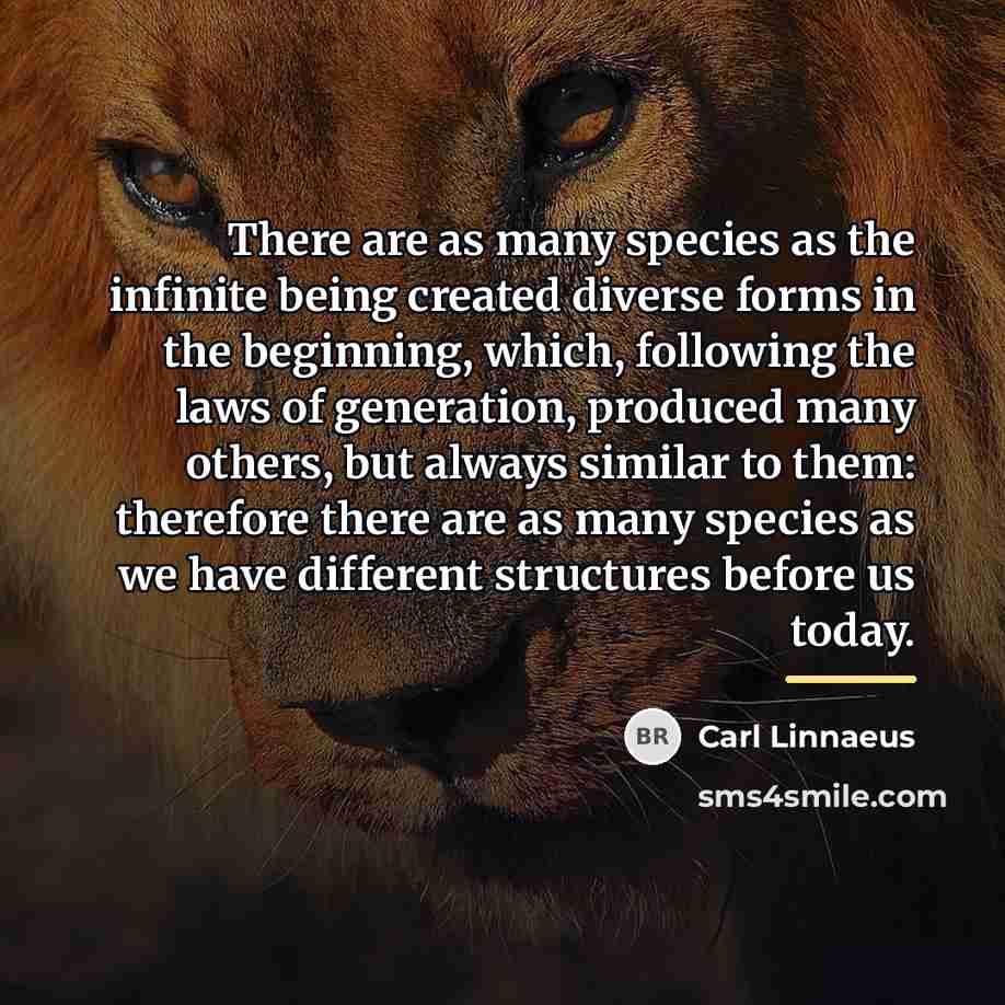 “There are as many species as the infinite being created…” quote by Carl Linnaeus