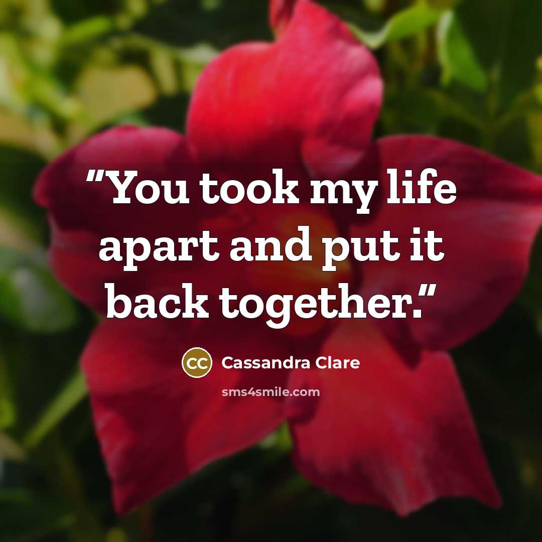 “You took my life apart and put it back together.” quote by Cassandra Clare