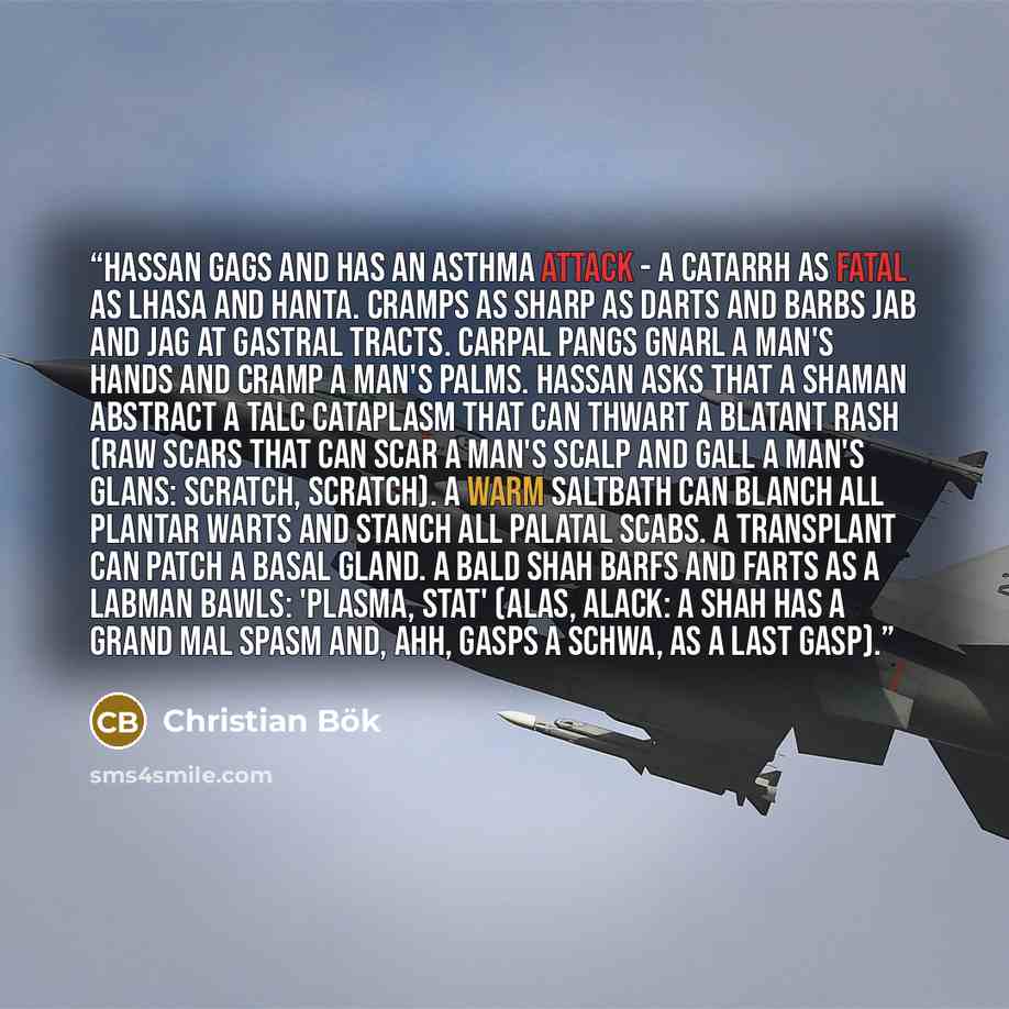“Hassan gags and has an asthma attack - a catarrh as fatal as lhasa and hanta. Cramps as sharp as darts and barbs jab and jag at gastral tracts. Carpal pangs gnarl a man's hands and cramp a man's palms. Hassan asks that a shaman abstract a talc cataplasm that can thwart a blatant rash (raw scars…” quote by Christian Bök