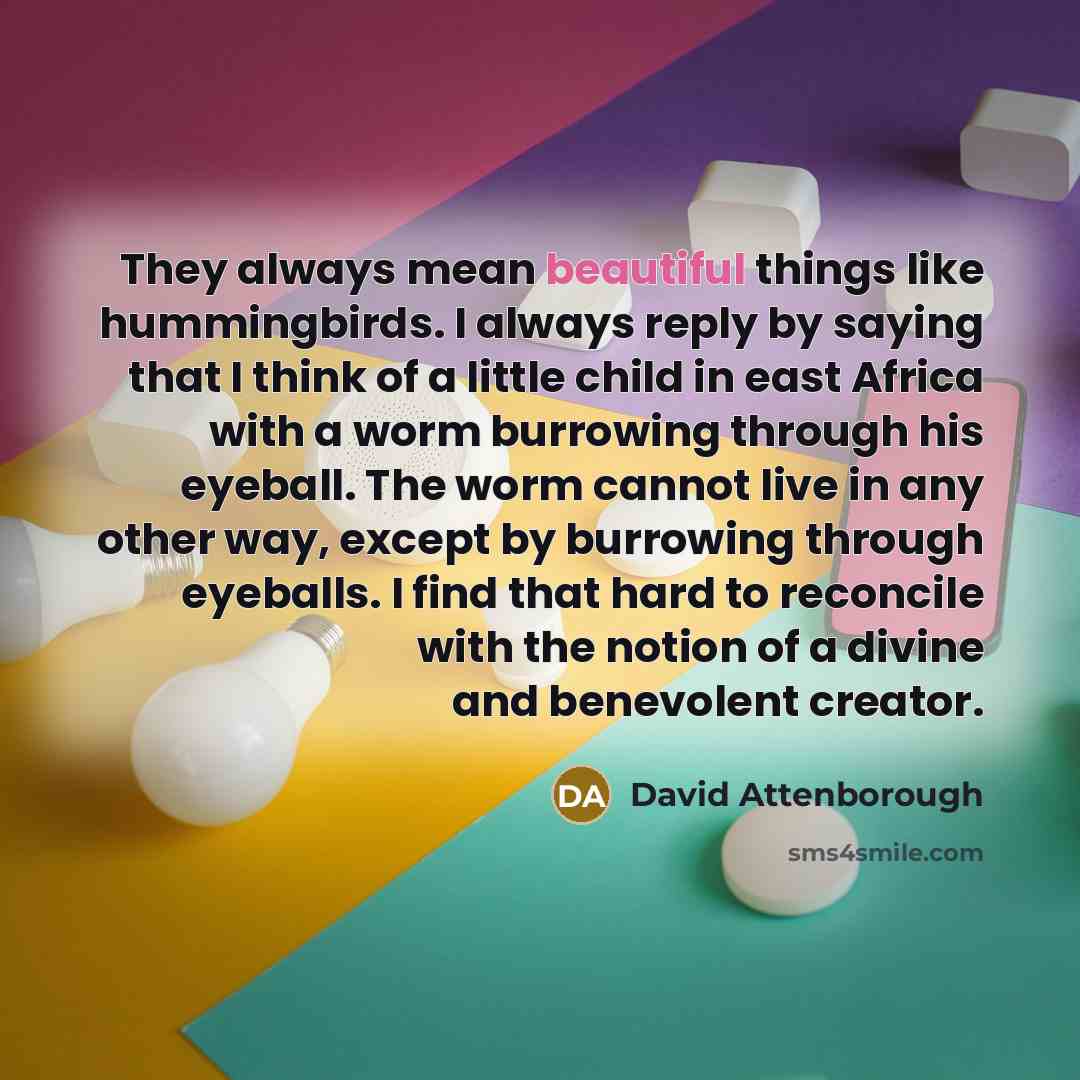 “They always mean beautiful things like hummingbirds. I always reply…” quote by David Attenborough