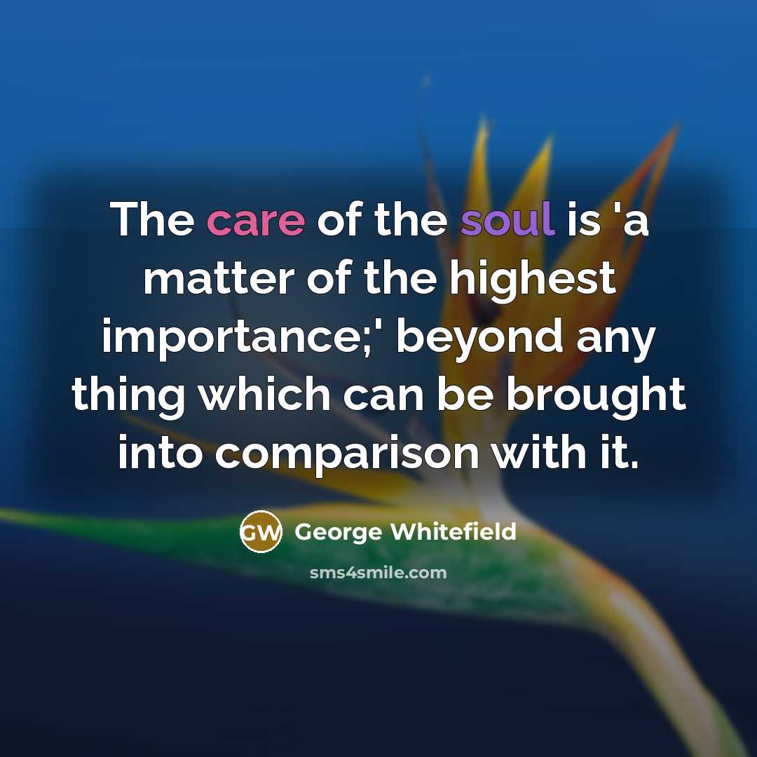 “The care of the soul is 'a matter of the…” quote by George Whitefield