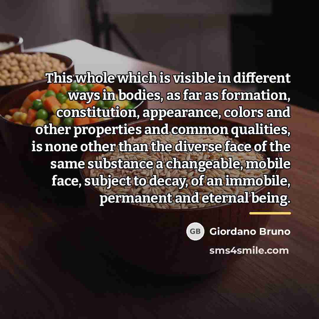 “This whole which is visible in different ways in bodies,…” quote by Giordano Bruno