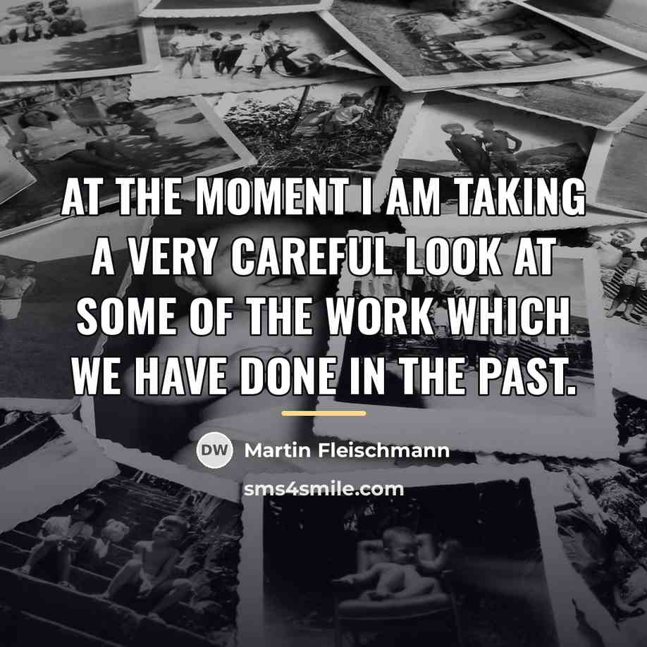 “At the moment I am taking a very careful look…” quote by Martin Fleischmann