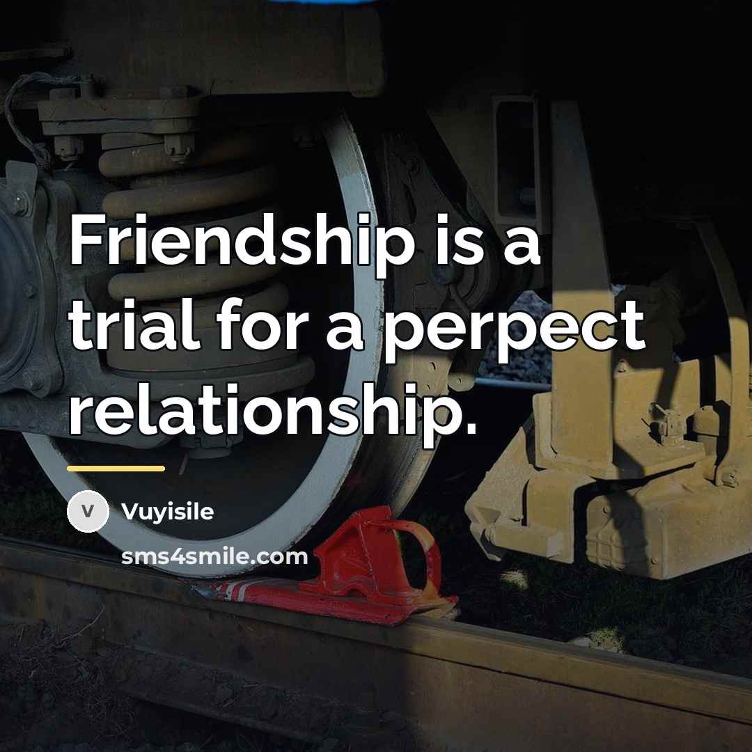 “Friendship is a trial for a perpect relationship.…” quote by Vuyisile