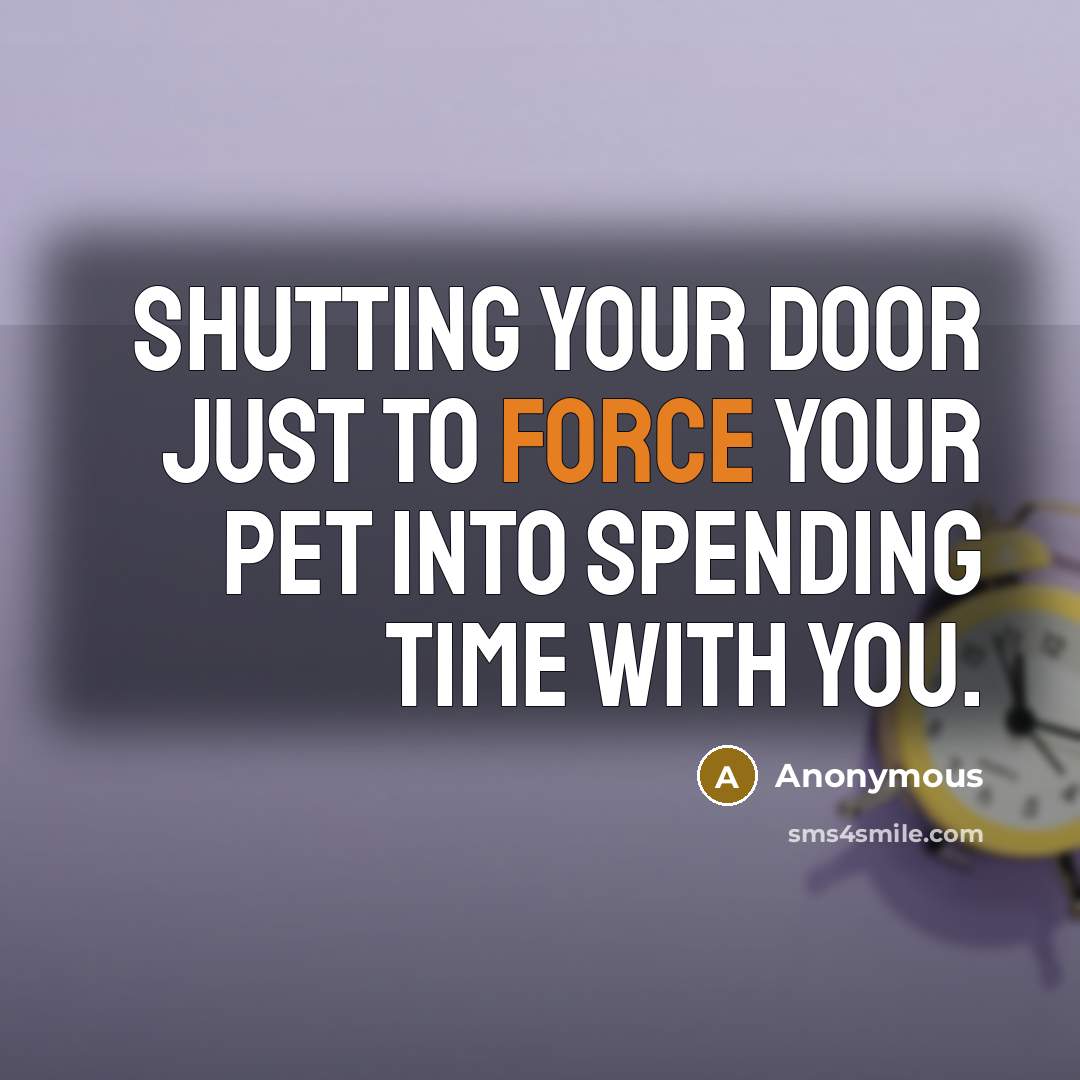 “Shutting your door just to force your pet into spending…” quote by Anonymous