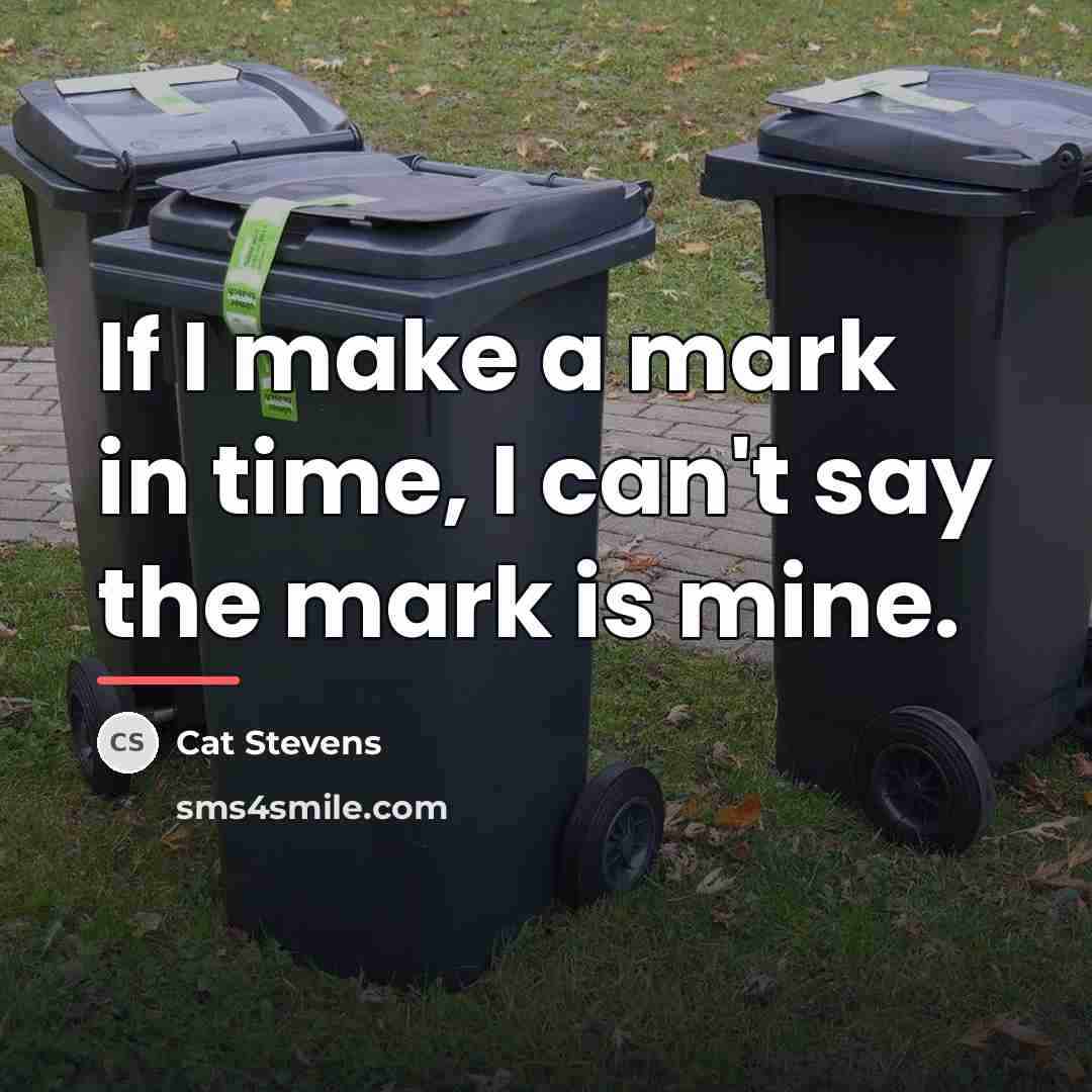 “If I make a mark in time, I can't say…” quote by Cat Stevens