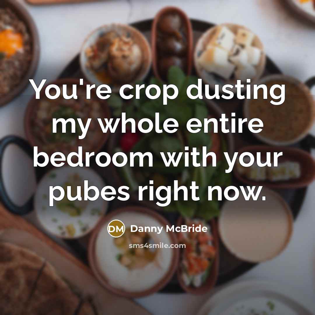 “You're crop dusting my whole entire bedroom with your pubes…” quote by Danny Mcbride
