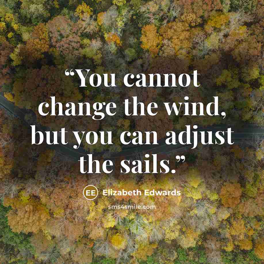 “You cannot change the wind, but you can adjust the sails.” quote by Elizabeth Edwards