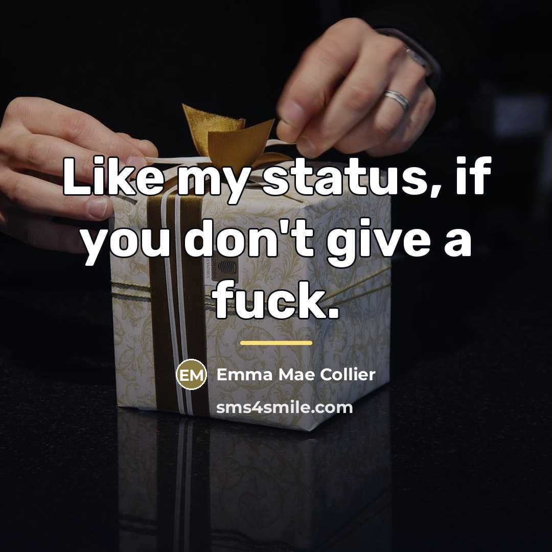 “Like my status, if you don't give a fuck.…” quote by Emma Mae Collier