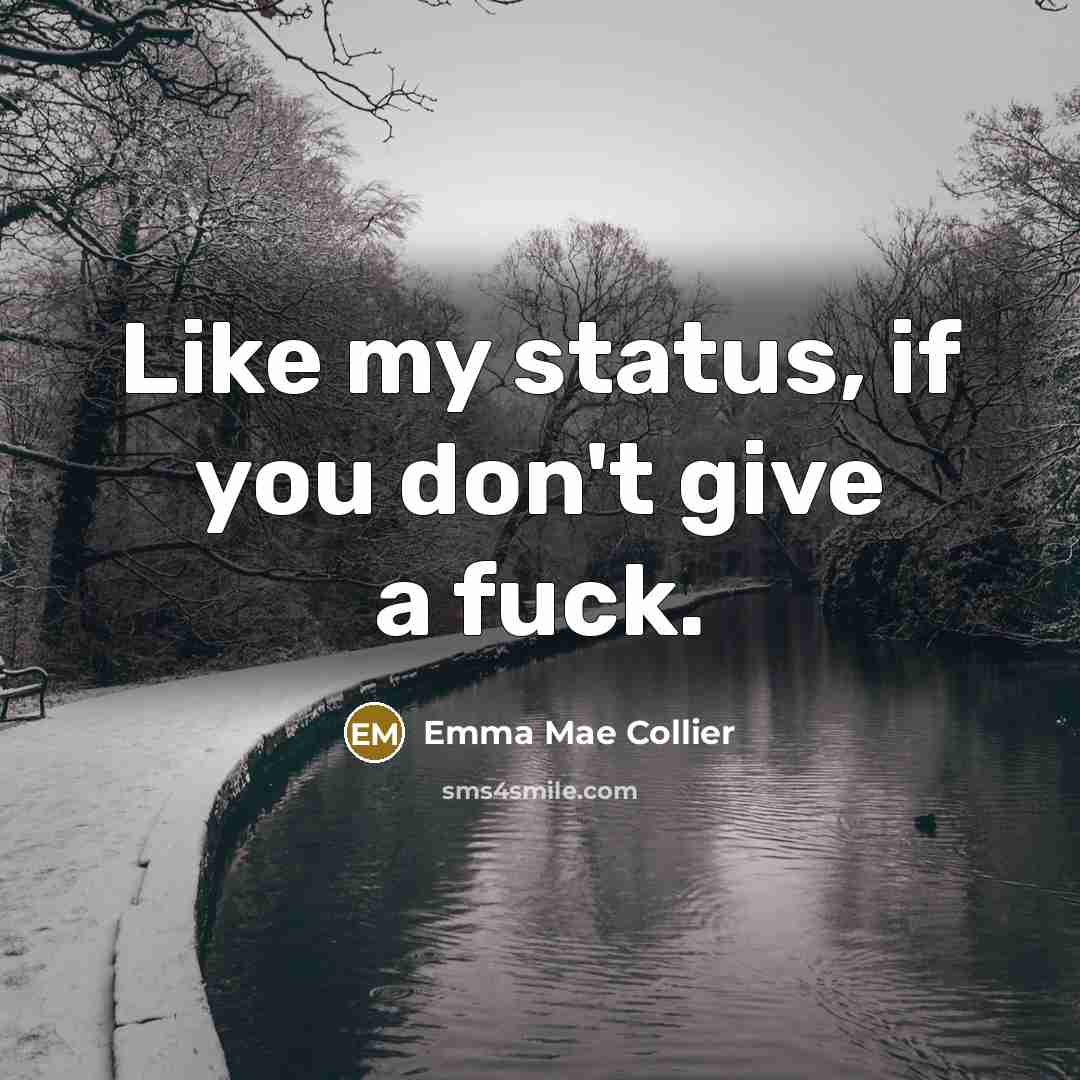 “Like my status, if you don't give a fuck.” quote by Emma Mae Collier