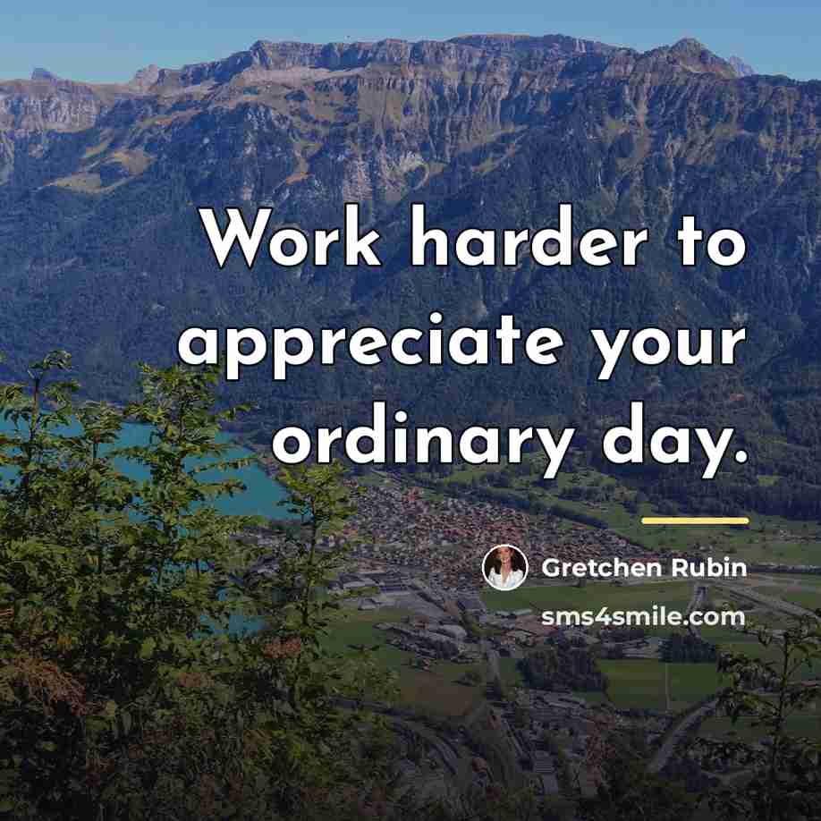 “Work harder to appreciate your ordinary day.…” quote by Gretchen Rubin
