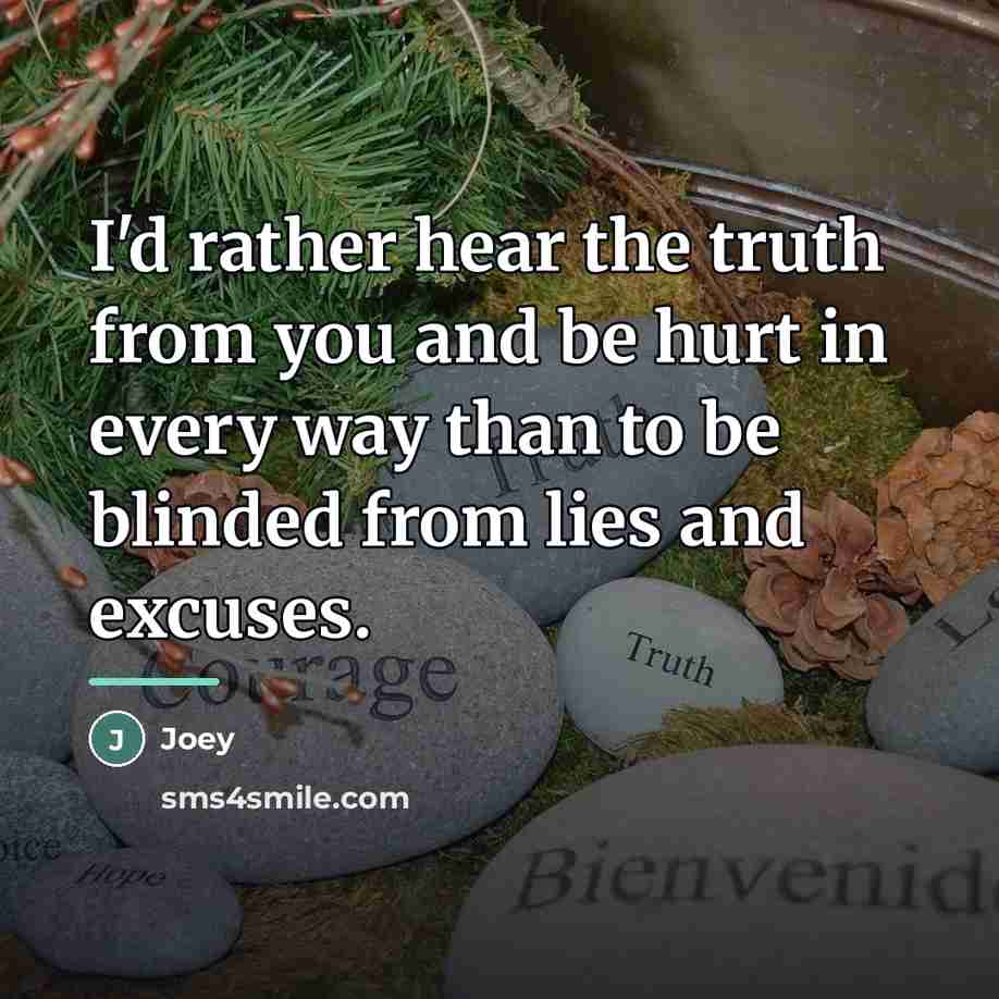 “I'd rather hear the truth from you and be hurt…” quote by Joey
