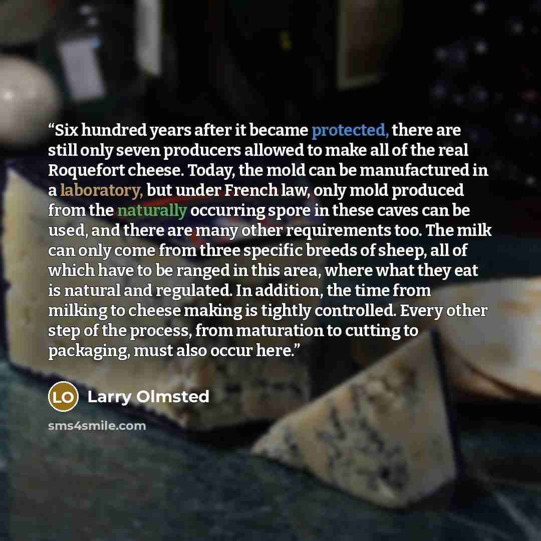 “Six hundred years after it became protected, there are still only seven producers allowed to make all of the real Roquefort cheese. Today, the mold can be manufactured in a laboratory, but under French law, only mold produced from the naturally occurring spore in these caves can be used, and there…” quote by Larry Olmsted