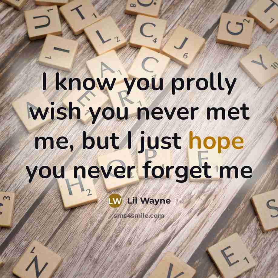 “I know you prolly wish you never met me, but I just hope you never forget me” quote by Lil Wayne