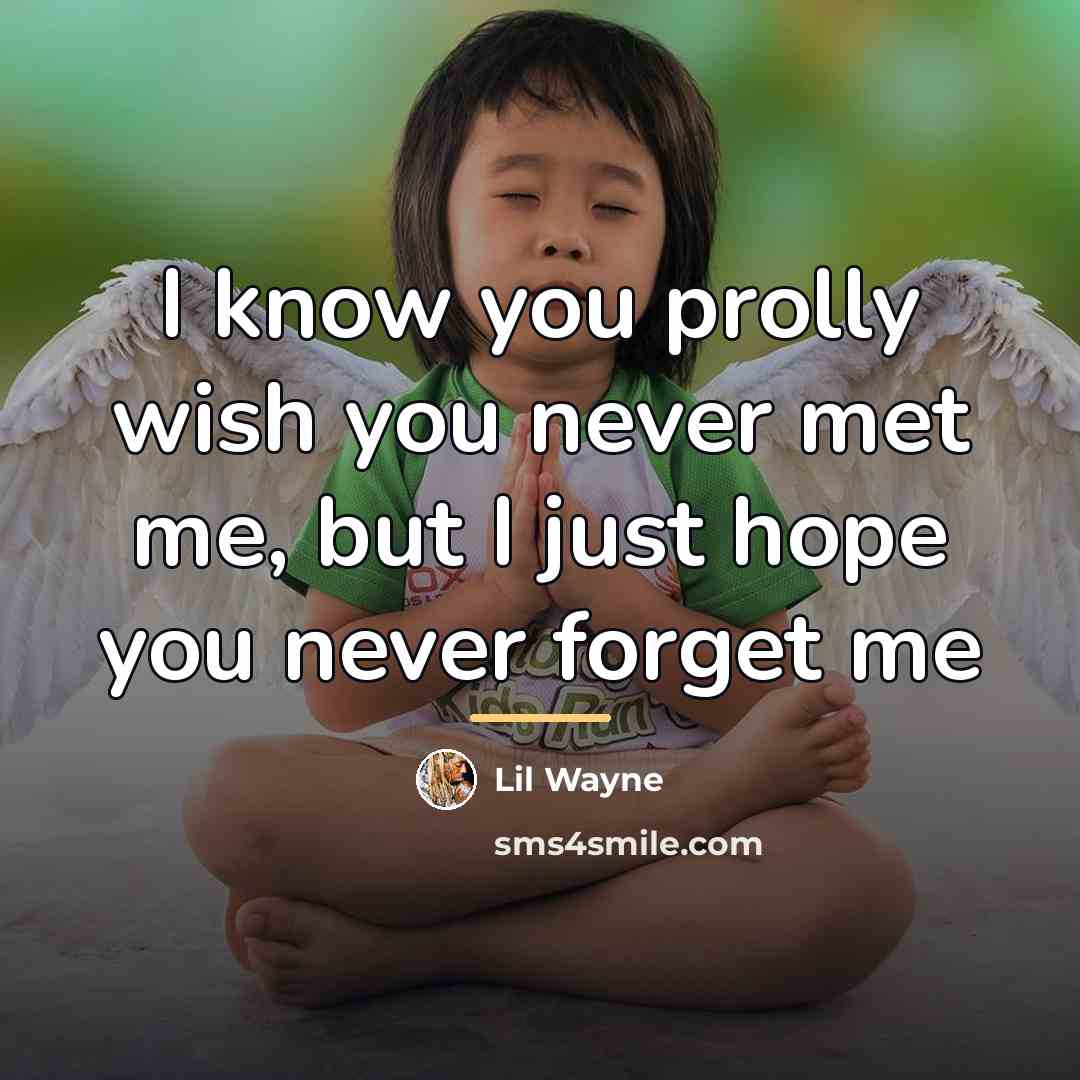 “I know you prolly wish you never met me, but…” quote by Lil Wayne