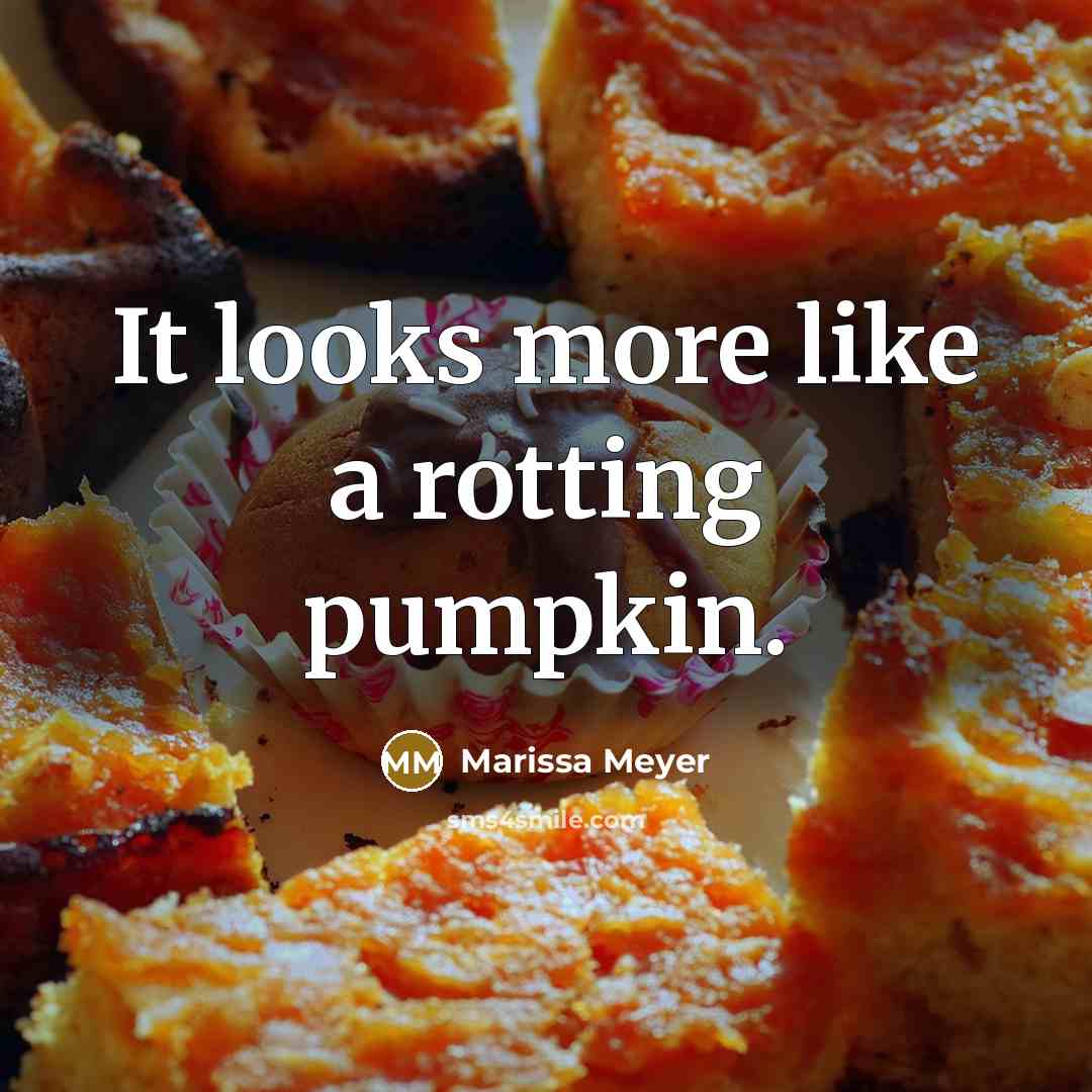 “It looks more like a rotting pumpkin.…” quote by Marissa Meyer