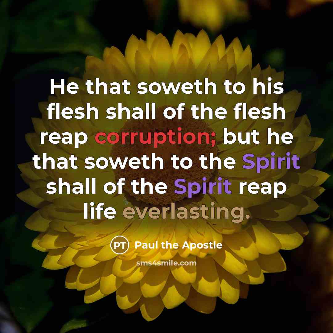 “He that soweth to his flesh shall of the flesh…” quote by Paul the Apostle