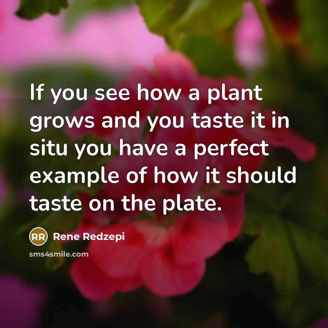 “If you see how a plant grows and you taste…” quote by Rene Redzepi