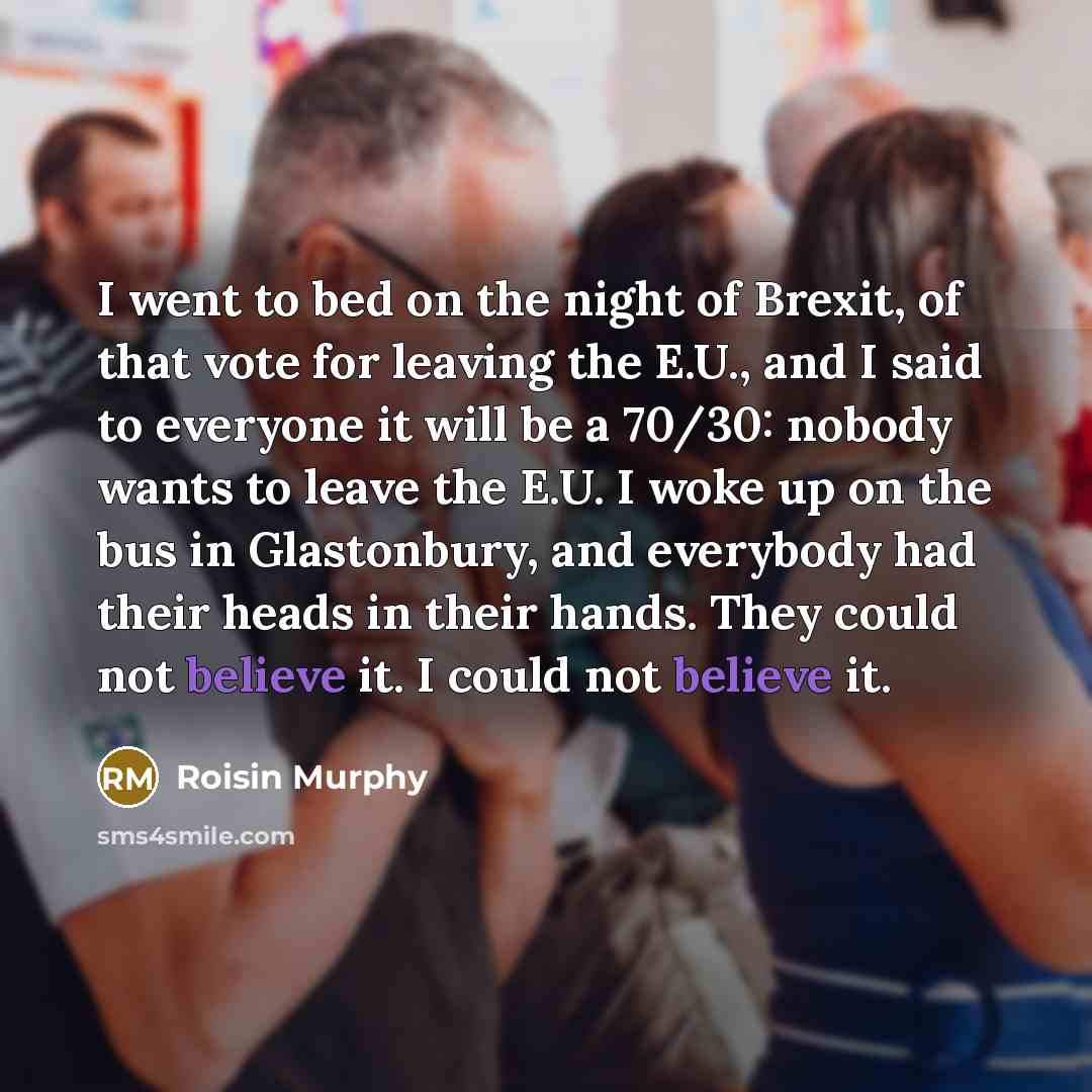 “I went to bed on the night of Brexit, of…” quote by Roisin Murphy