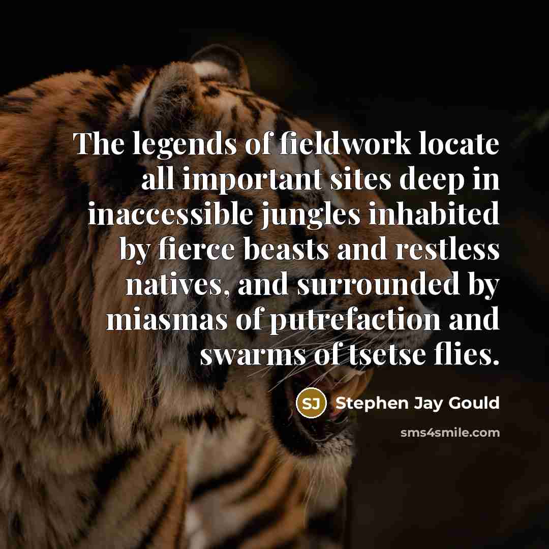 “The legends of fieldwork locate all important sites deep in…” quote by Stephen Jay Gould