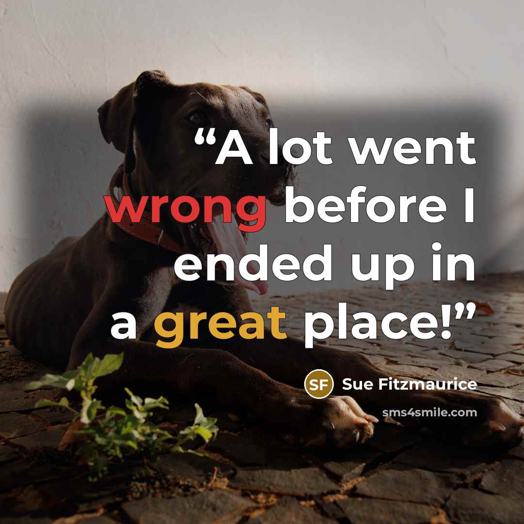 “A lot went wrong before I ended up in a great place!” quote by Sue Fitzmaurice