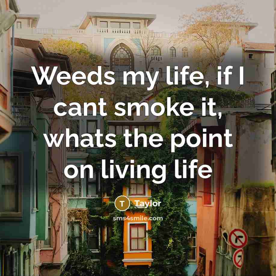 “Weeds my life, if I cant smoke it, whats the…” quote by Taylor