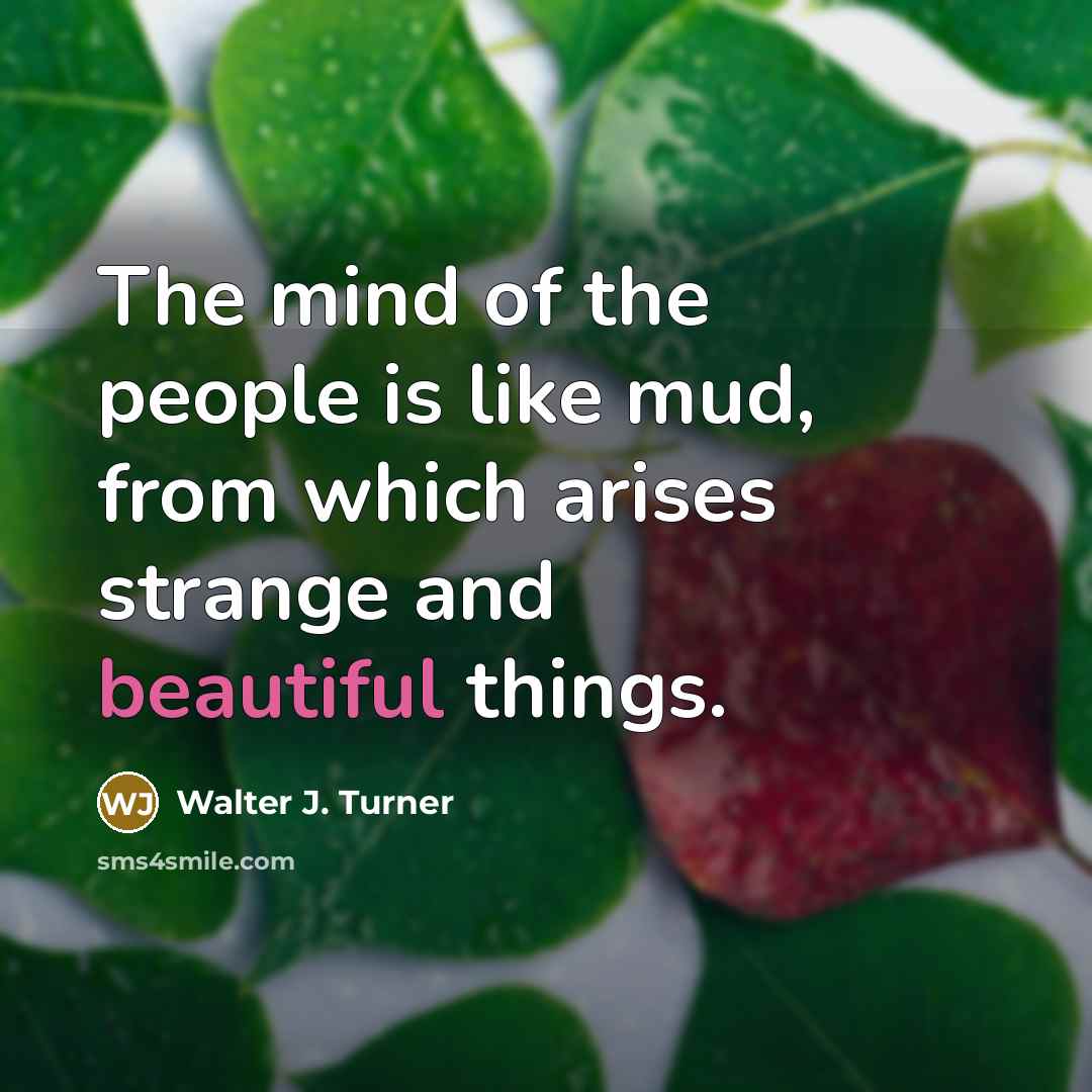 “The mind of the people is like mud, from which…” quote by Walter J. Turner