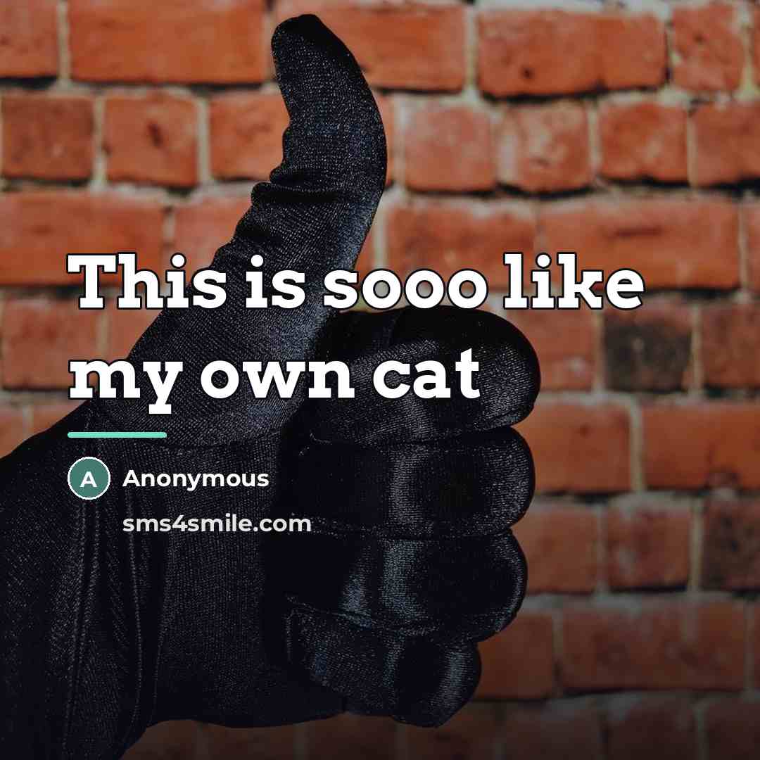 “This is sooo like my own cat…” quote by Anonymous