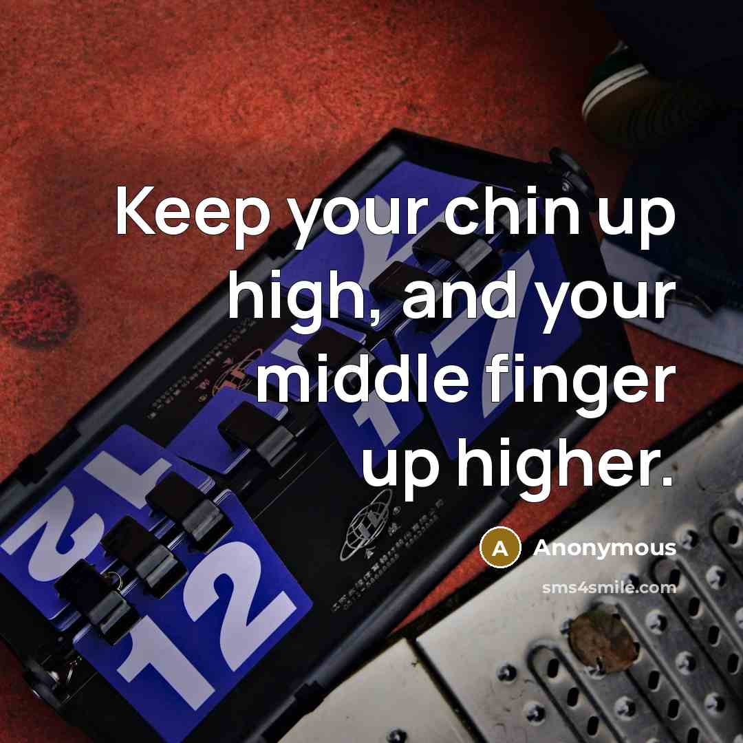 “Keep your chin up high, and your middle finger up…” quote by Anonymous
