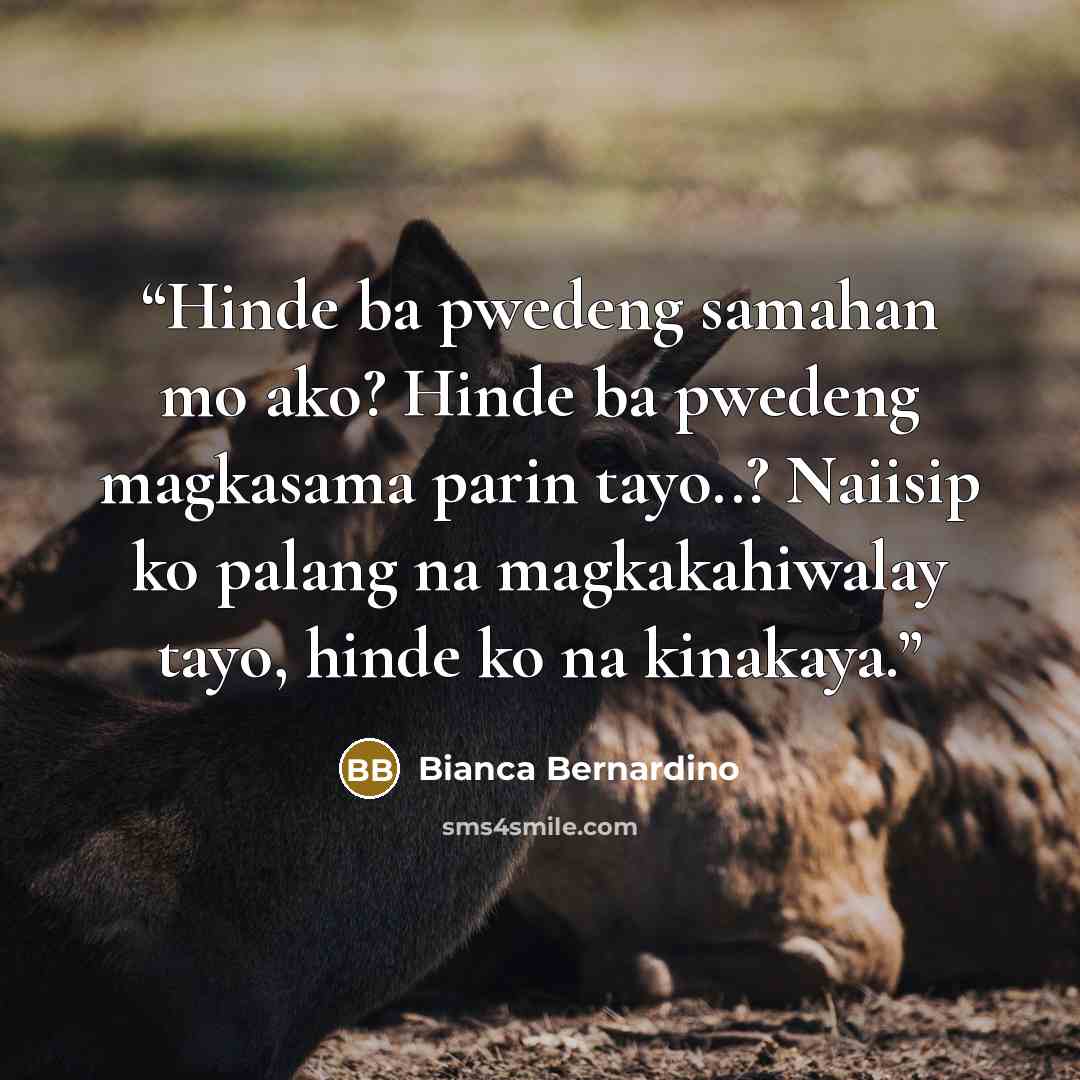 “Hinde ba pwedeng samahan mo ako? Hinde ba pwedeng magkasama parin tayo..? Naiisip ko palang na magkakahiwalay tayo, hinde ko na kinakaya.” quote by Bianca Bernardino