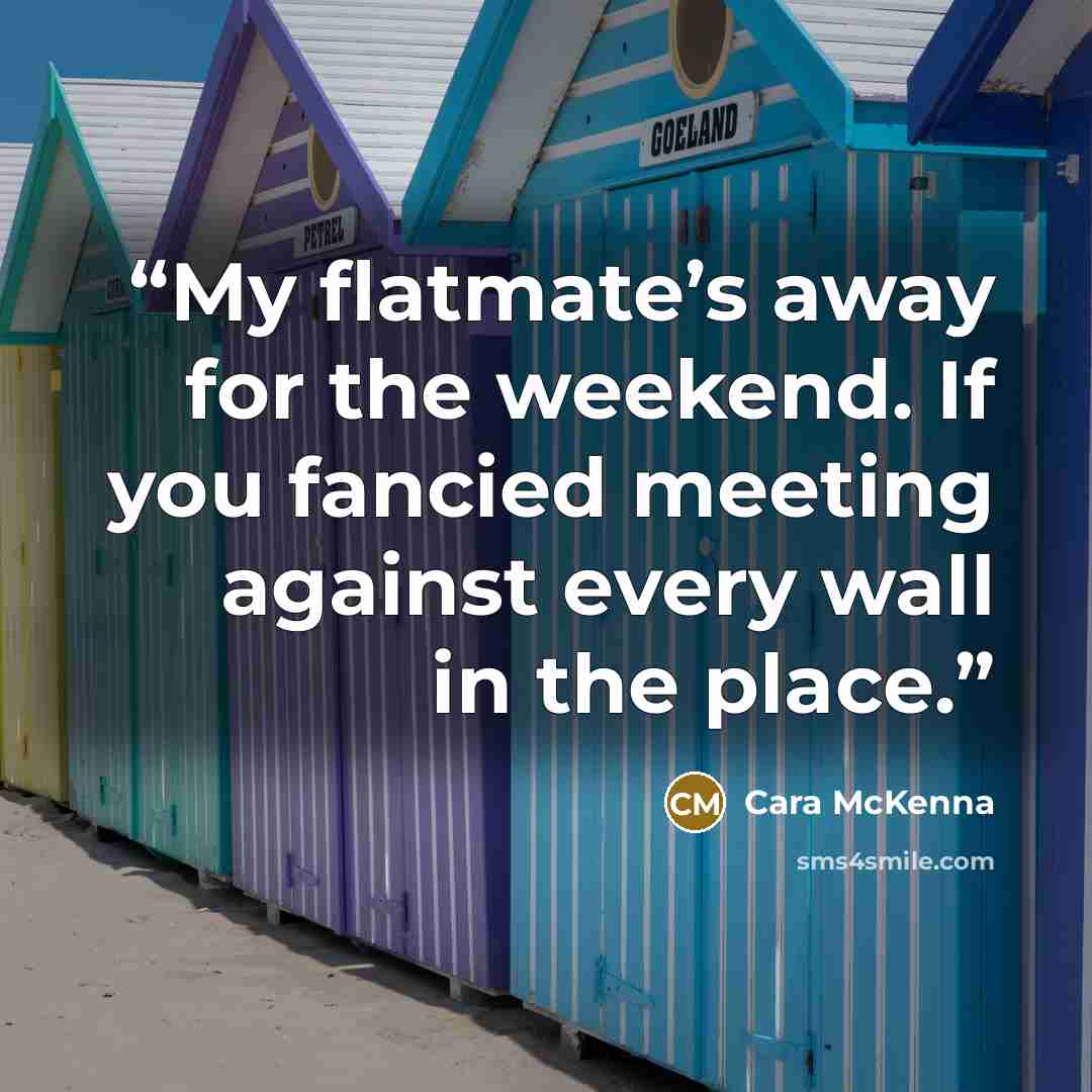 “My flatmate’s away for the weekend. If you fancied meeting against every wall in the place.” quote by Cara McKenna