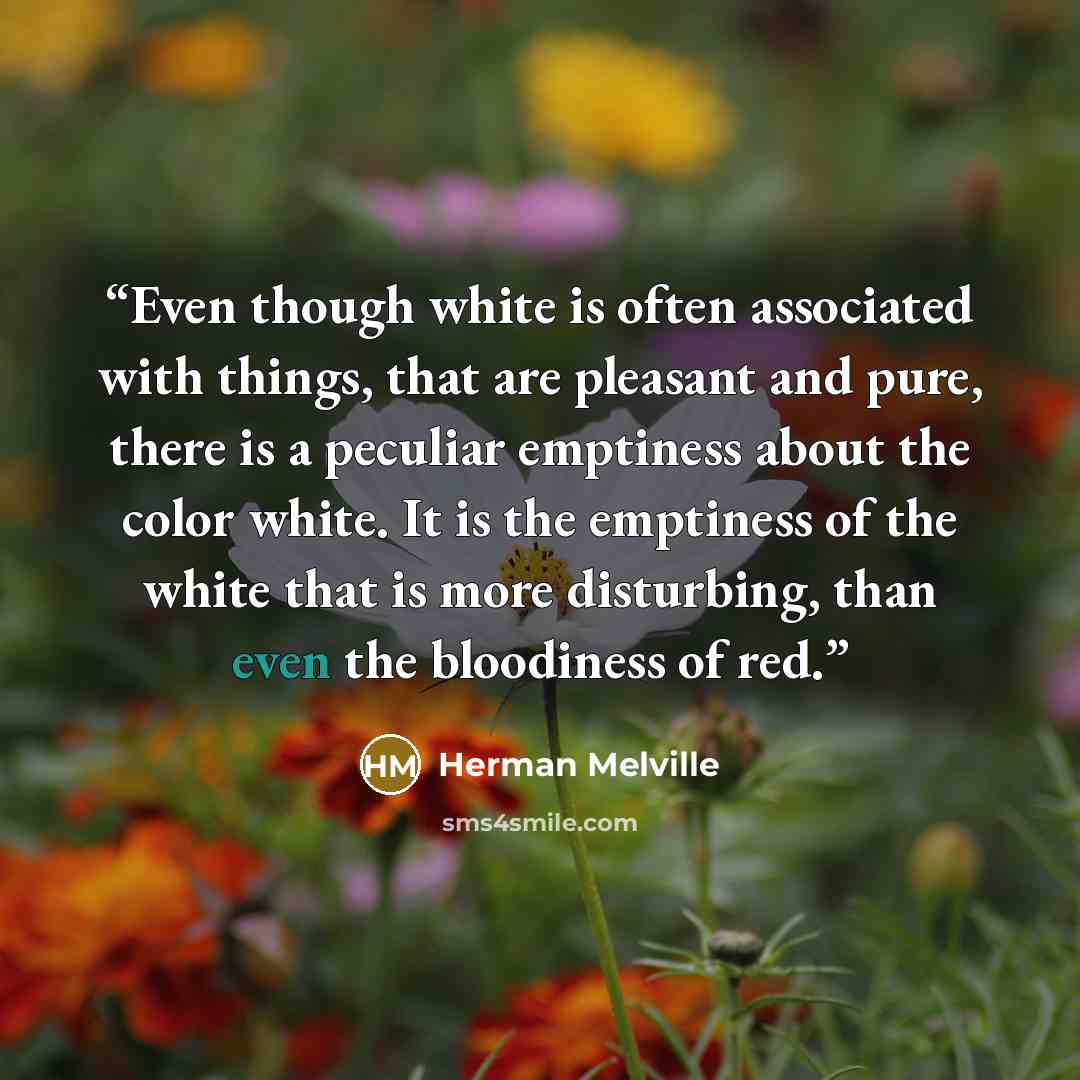 “Even though white is often associated with things, that are pleasant and pure, there is a peculiar emptiness about the color white. It is the emptiness of the white that is more disturbing, than even the bloodiness of red.” quote by Herman Melville