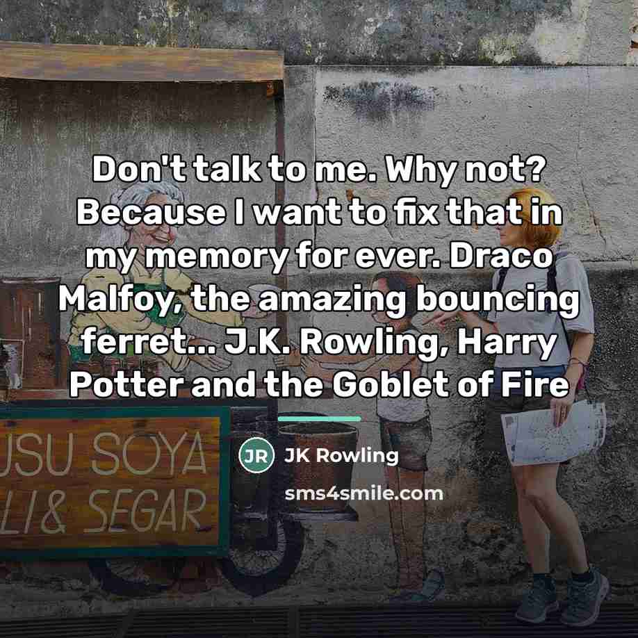 “Don't talk to me. Why not? Because I want to…” quote by JK Rowling