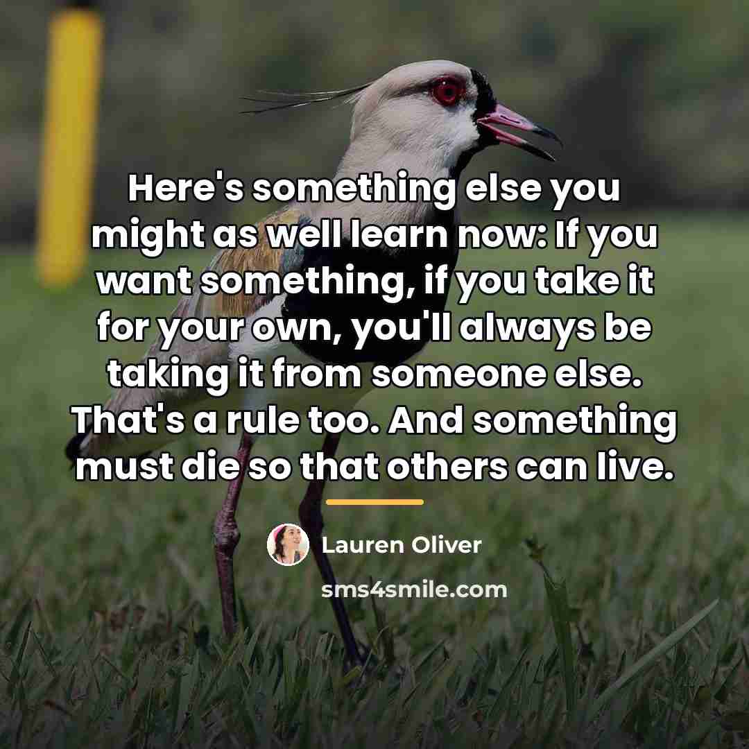 “Here's something else you might as well learn now: If…” quote by Lauren Oliver