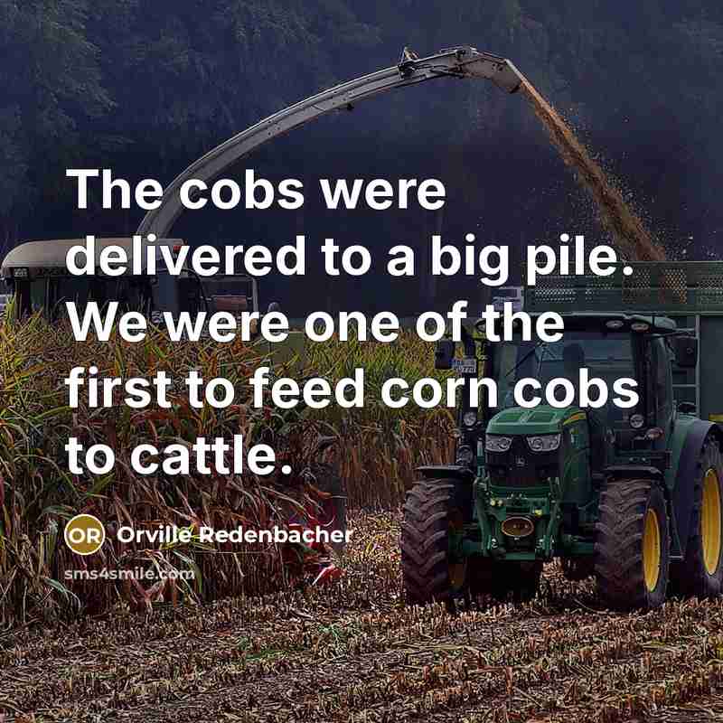 “The cobs were delivered to a big pile. We were…” quote by Orville Redenbacher