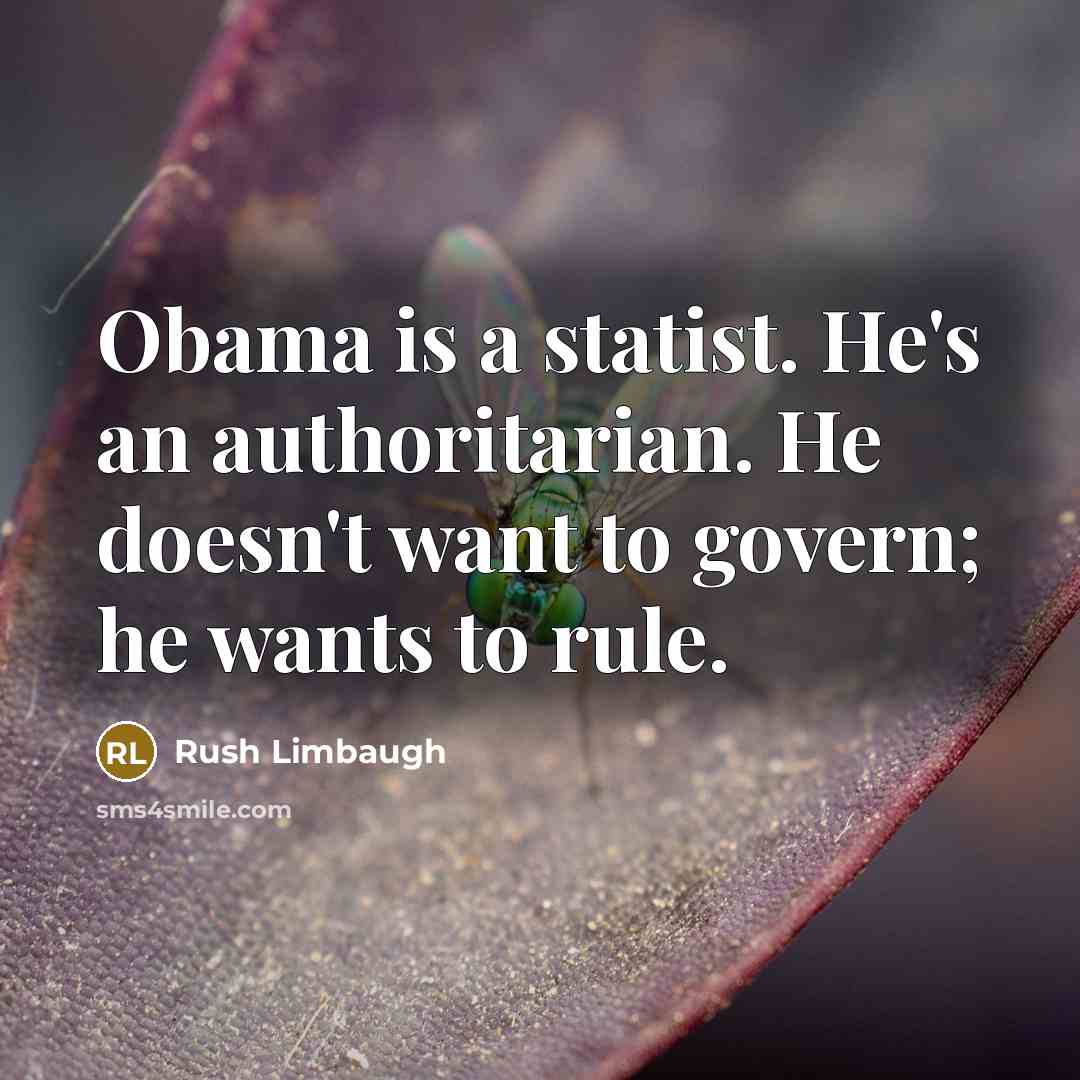 “Obama is a statist. He's an authoritarian. He doesn't want…” quote by Rush Limbaugh