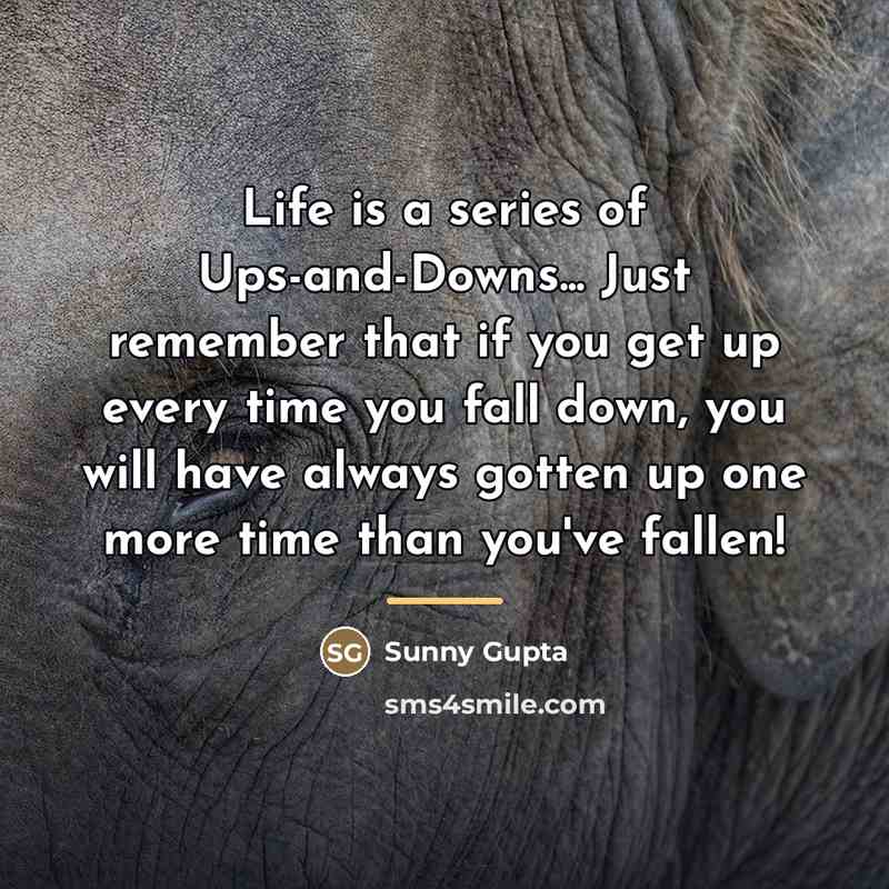“Life is a series of Ups-and-Downs... Just remember that if…” quote by Sunny Gupta
