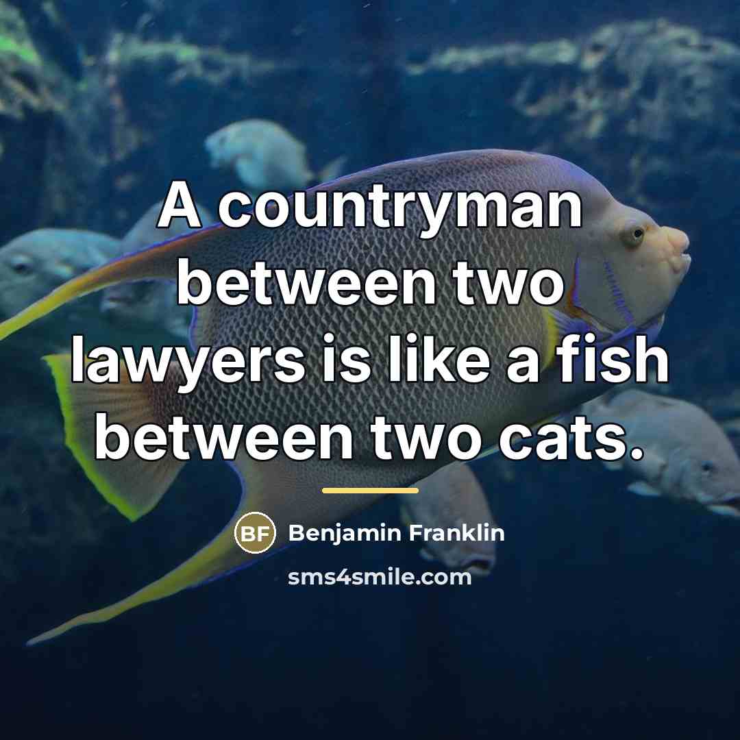 “A countryman between two lawyers is like a fish between…” quote by Benjamin Franklin